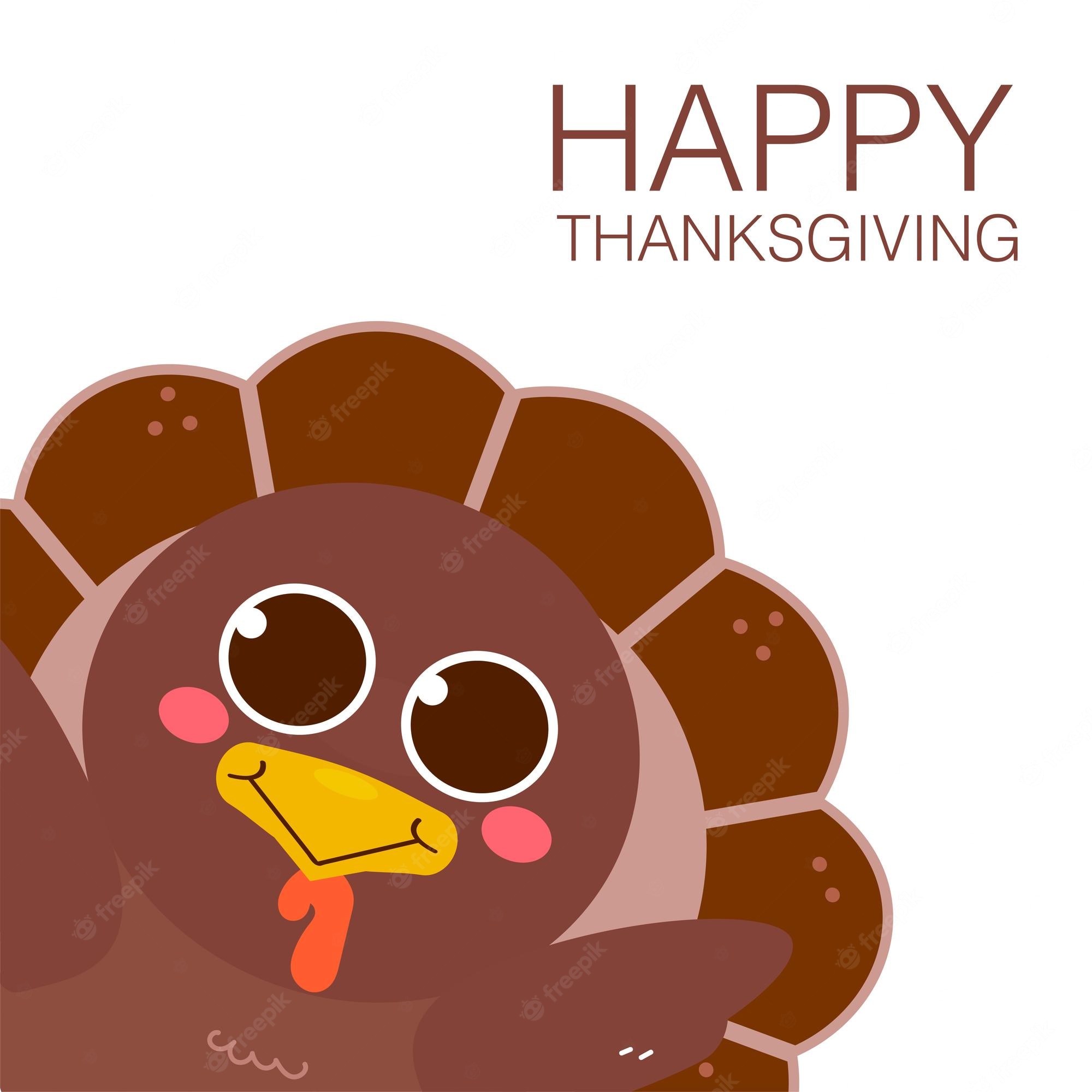 Cute Turkey Wallpapers