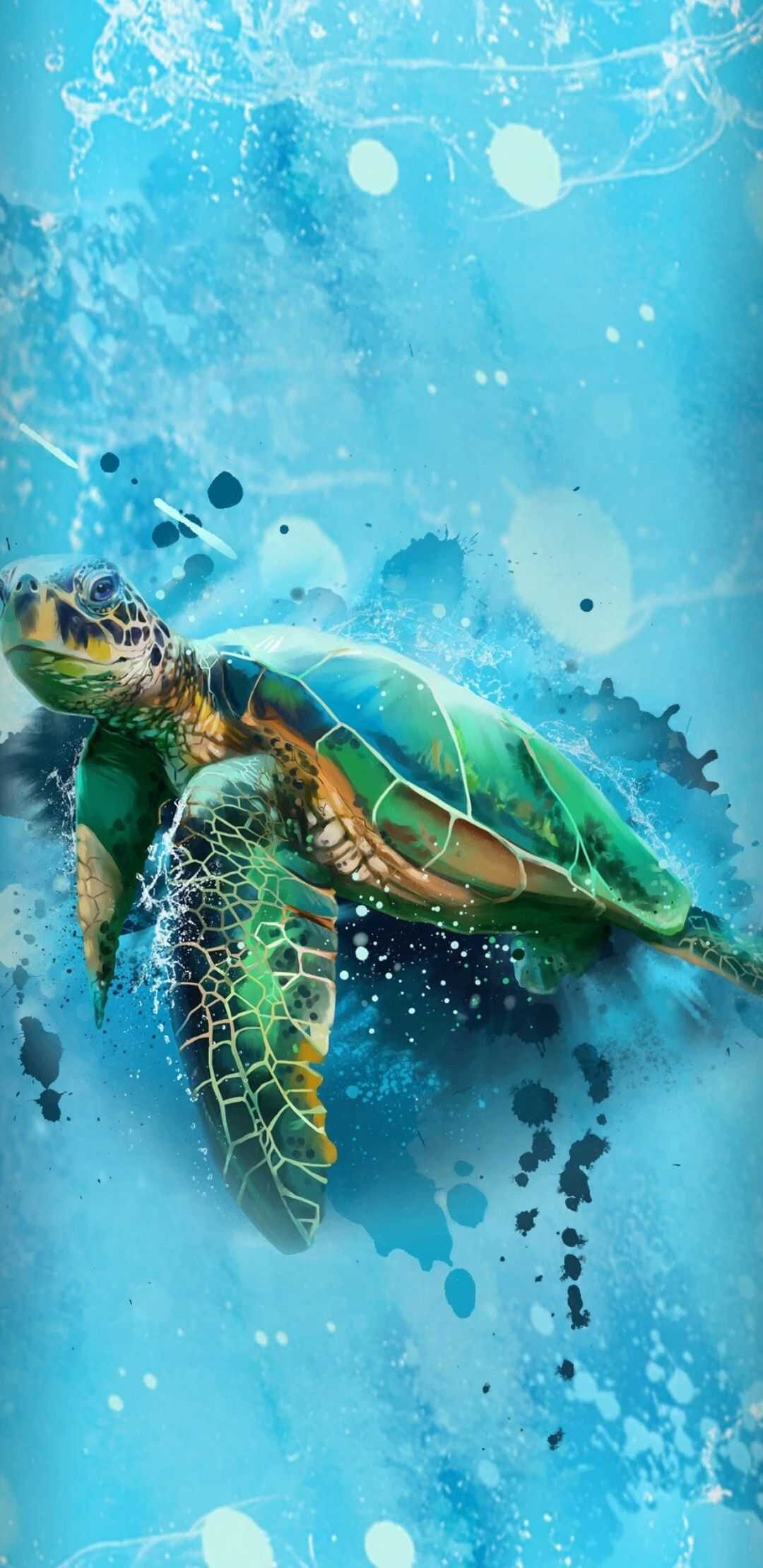 Cute TurtlesWallpapers