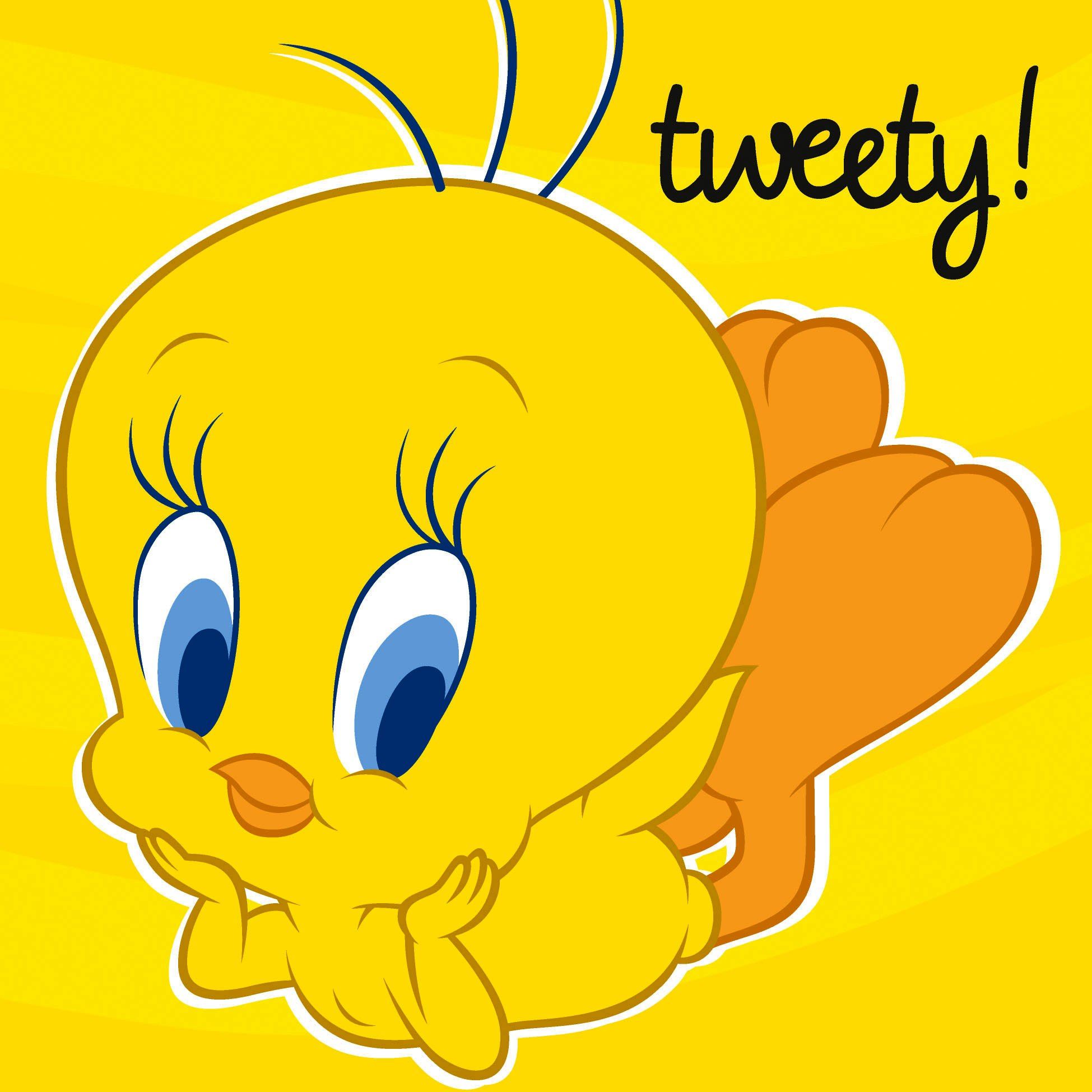 Cute Tweety Bird  Wallpapers