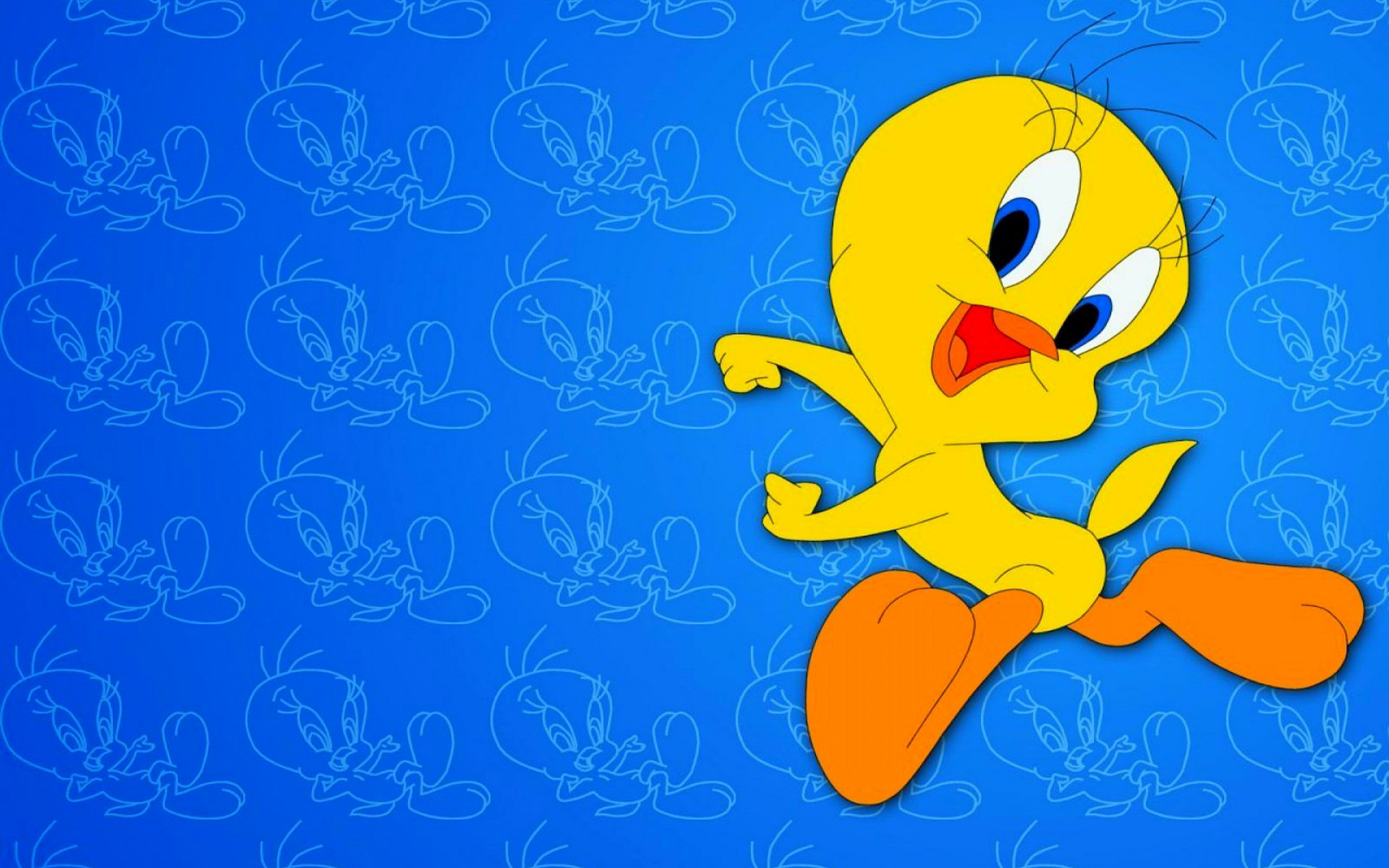 Cute Tweety Bird  Wallpapers