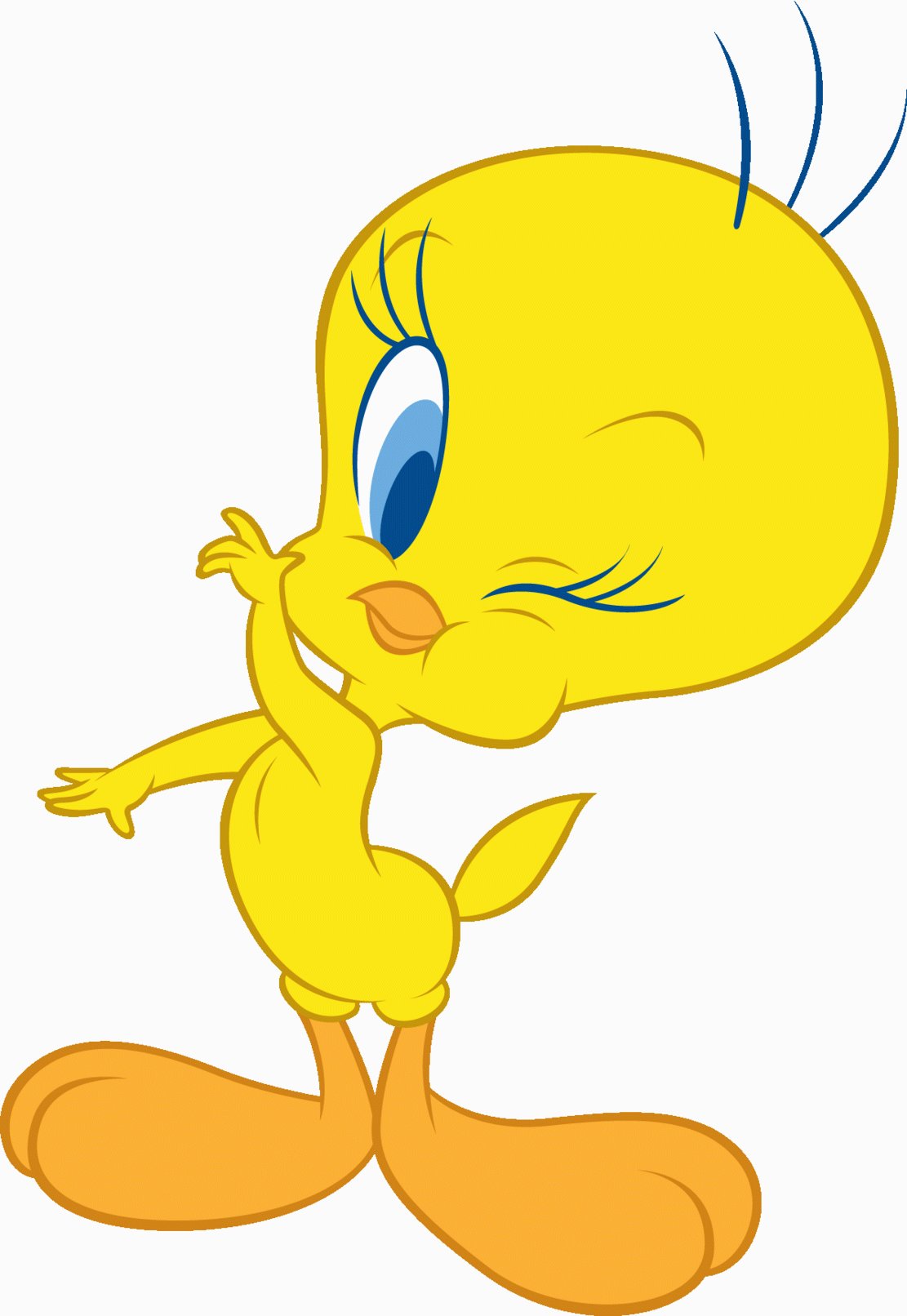 Cute Tweety Bird  Wallpapers