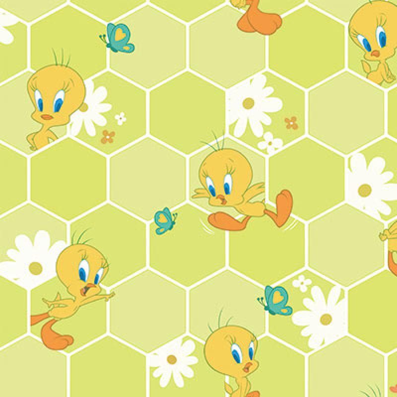 Cute Tweety Bird  Wallpapers