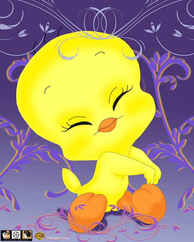 Cute Tweety Bird  Wallpapers