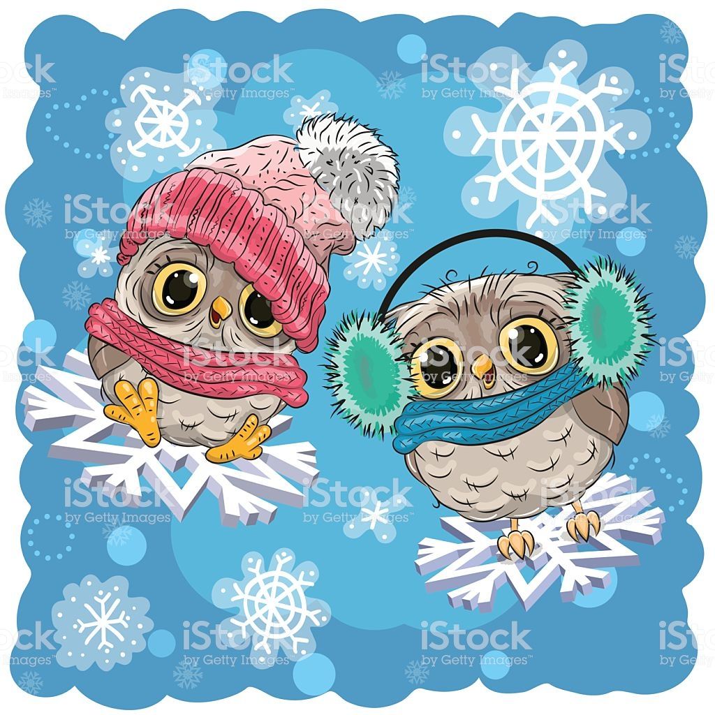 Cute Winter Owl Wallpapers