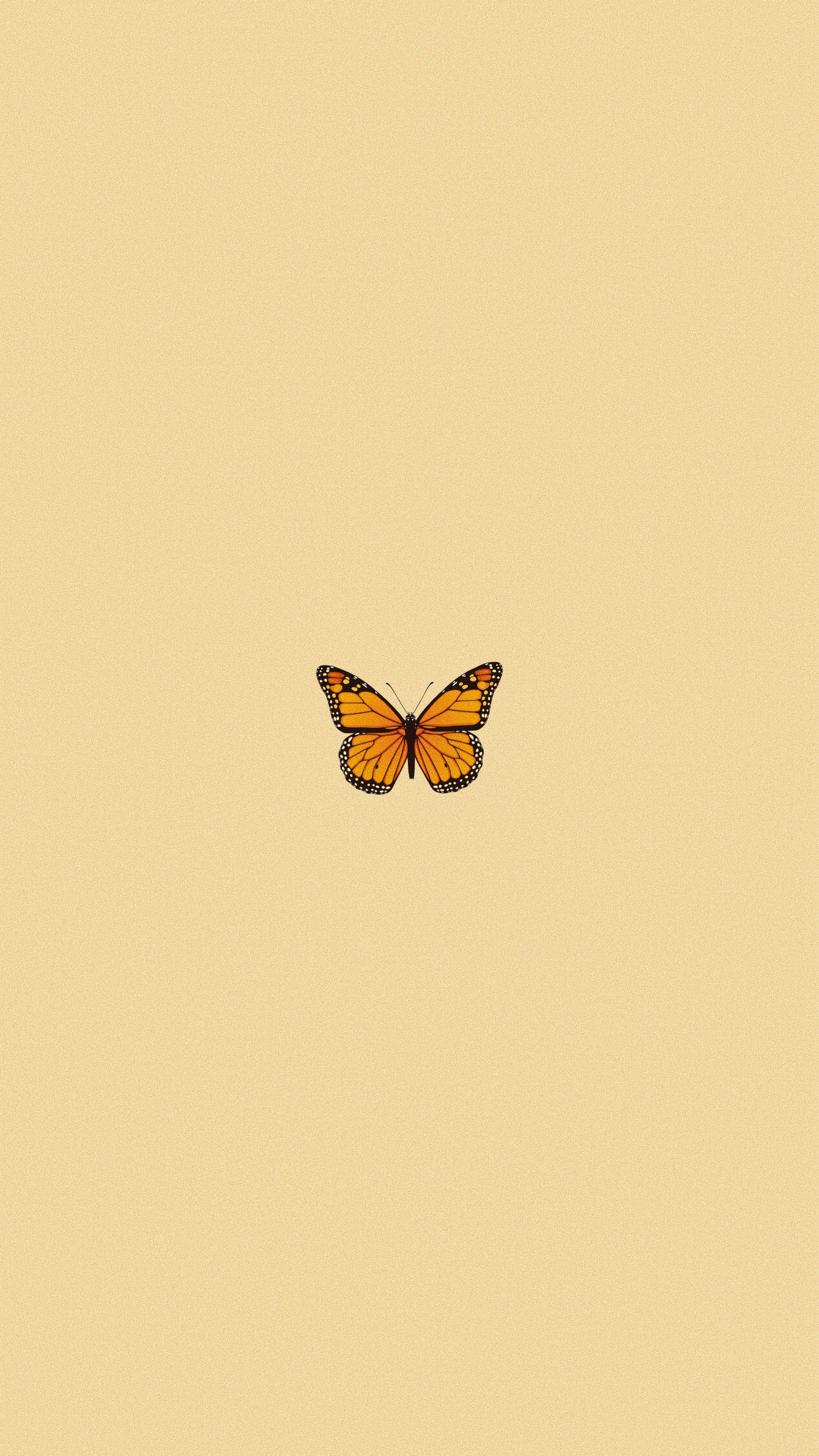 Cute Yellow Butterflies Wallpapers