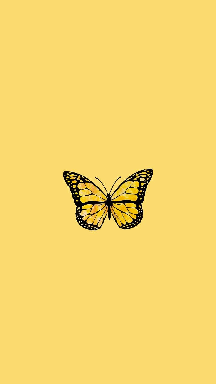 Cute Yellow Butterflies Wallpapers