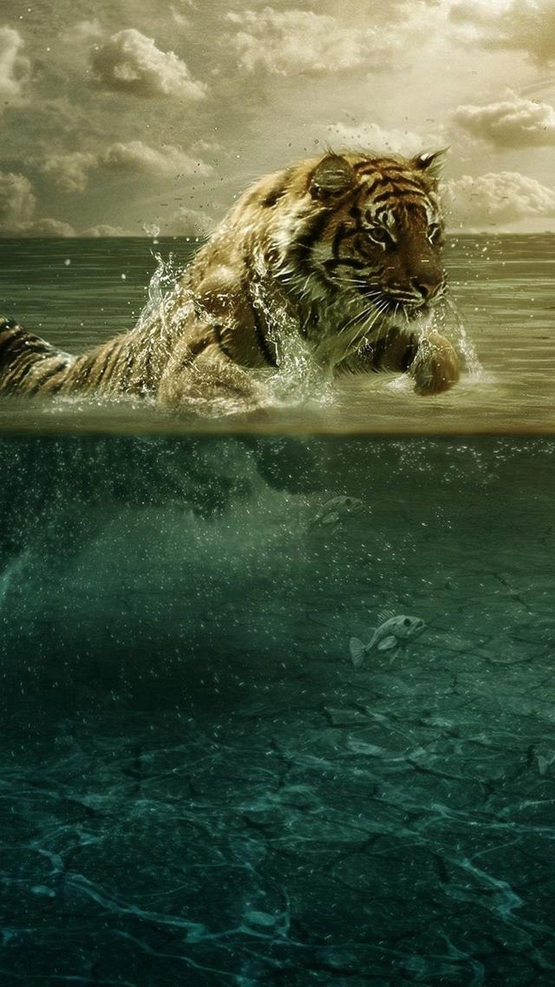 Cool AnimalWallpapers