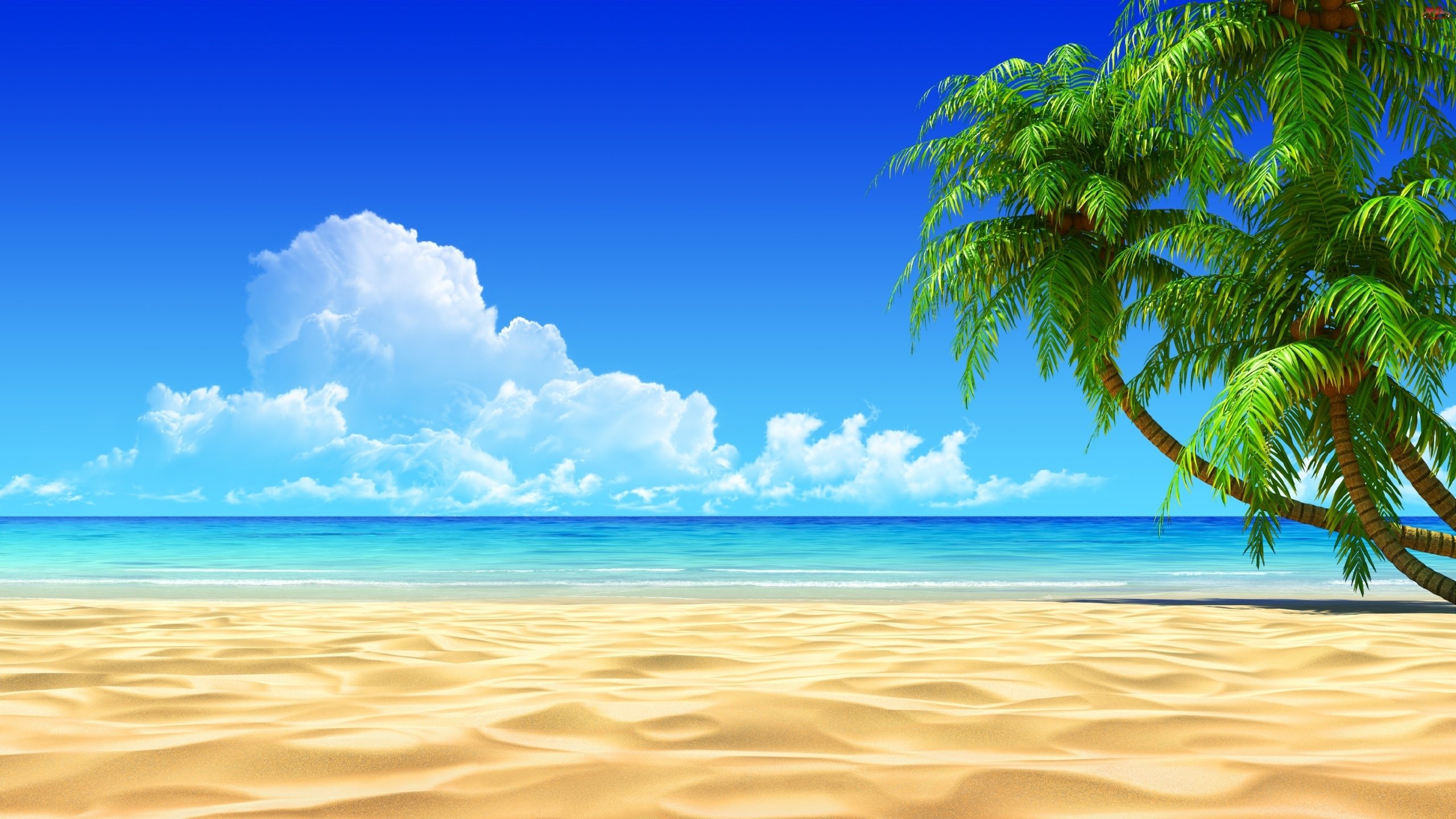 Cool Beach Wallpapers