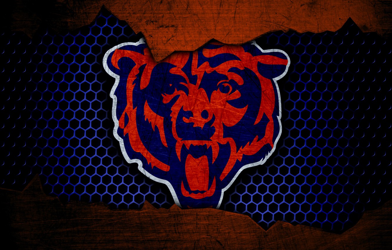 Cool Bears Wallpapers