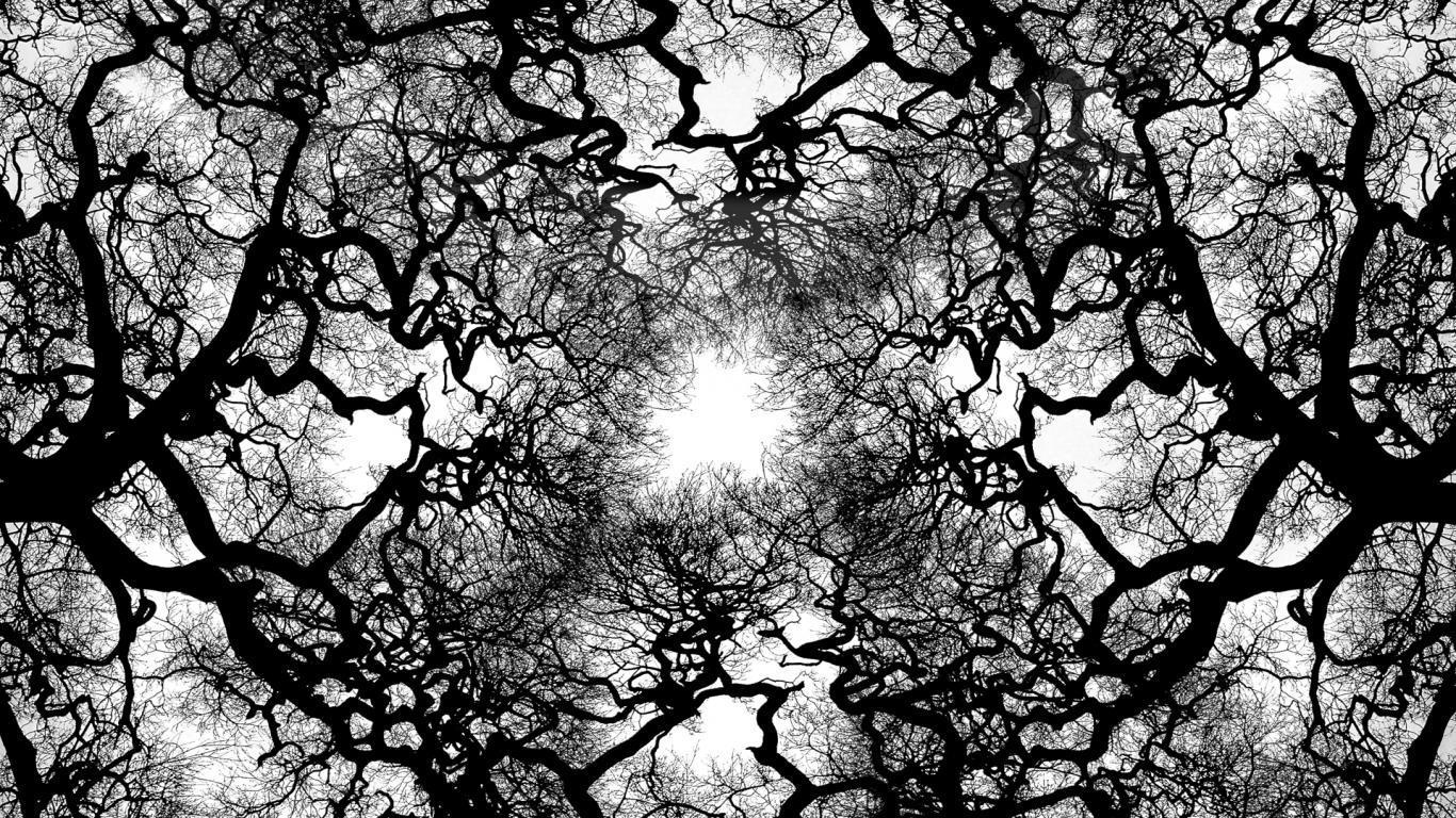 Cool Black And White Tree Wallpapers