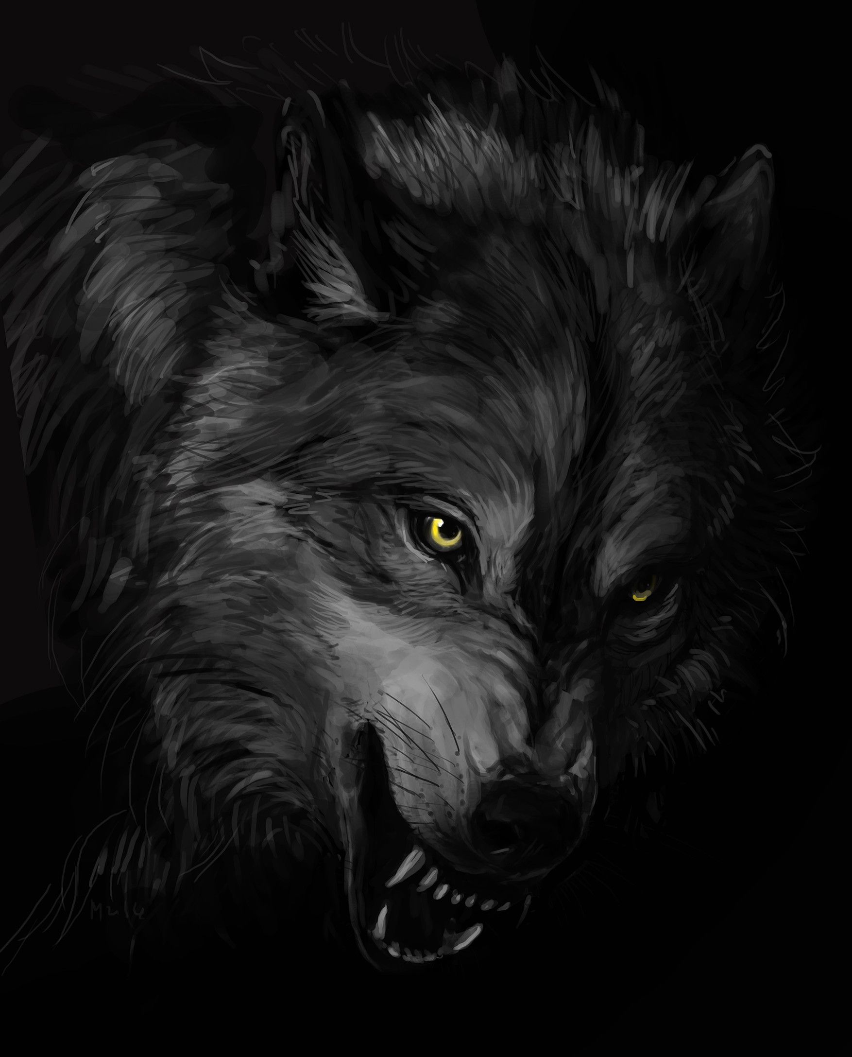 Cool Black WolfWallpapers