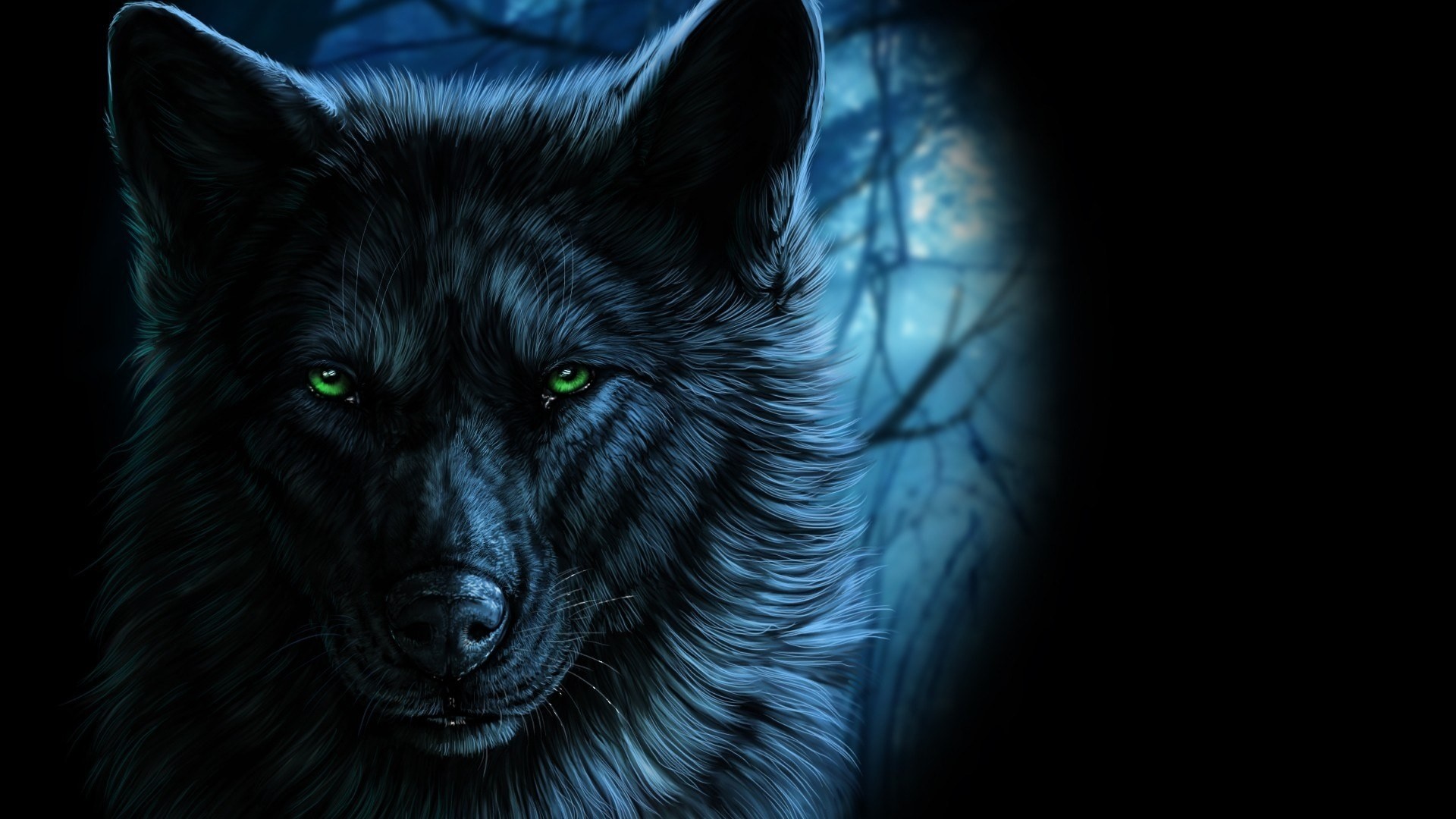 Cool Black WolfWallpapers