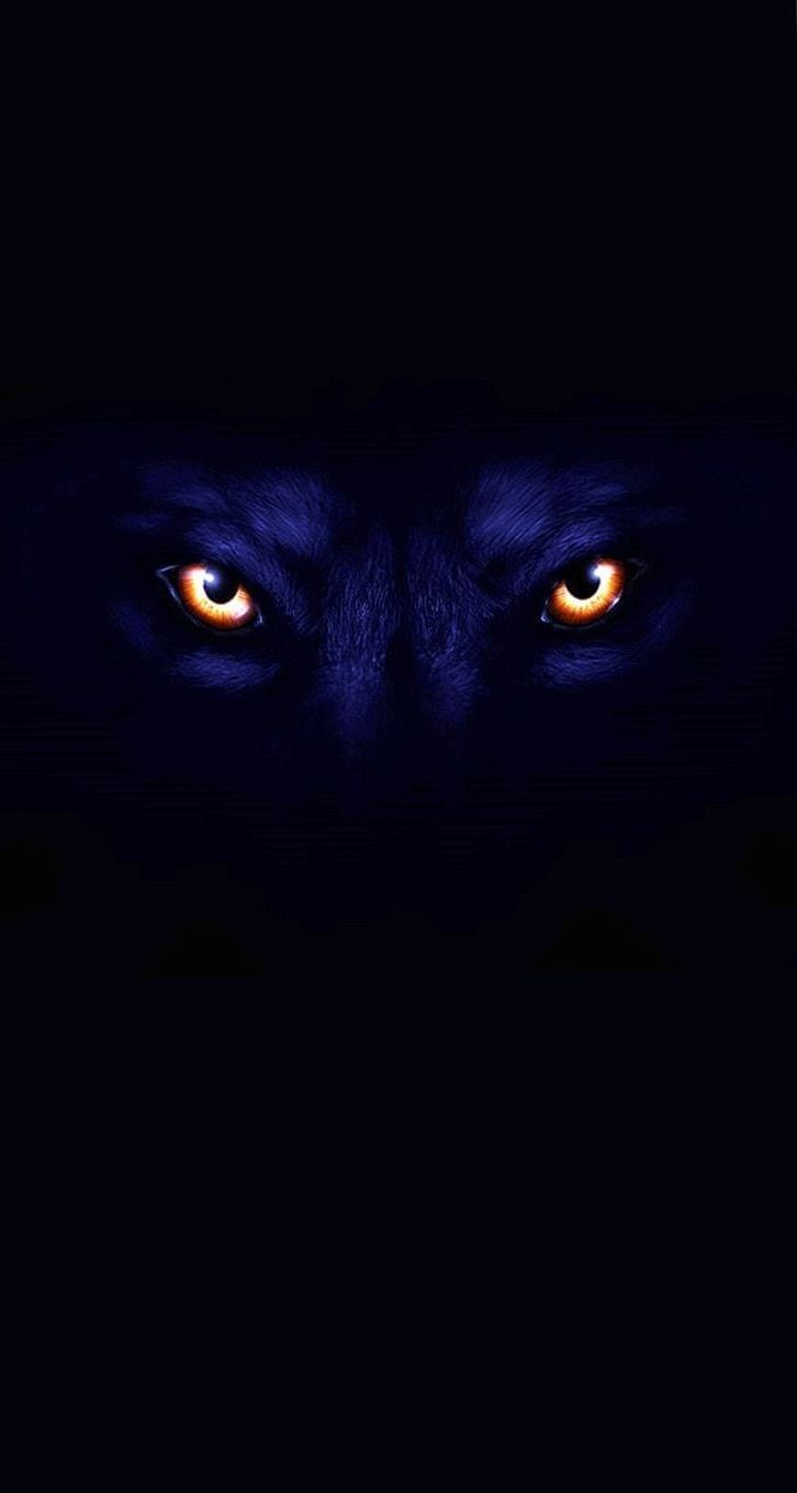 Cool Black WolfWallpapers