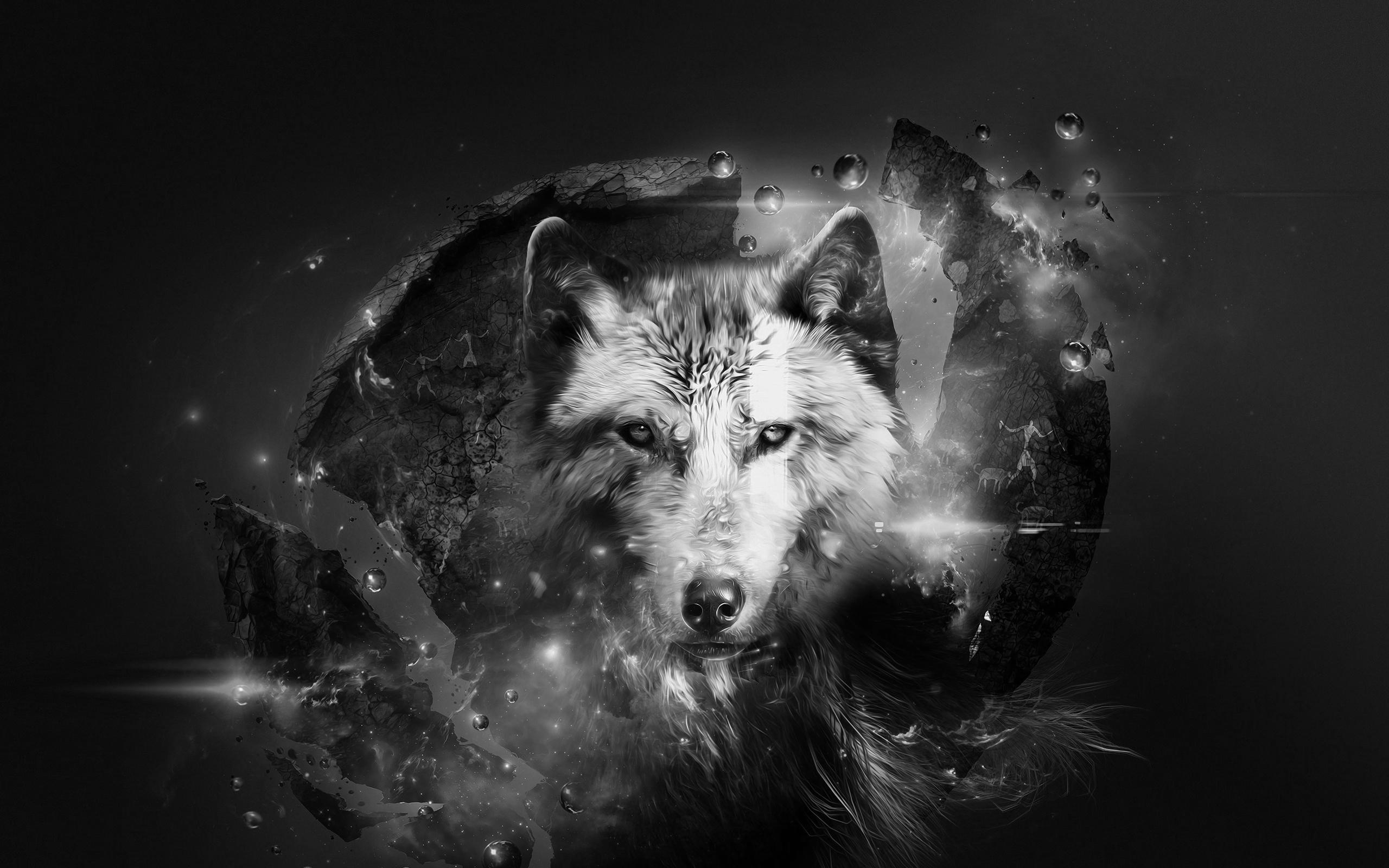 Cool Black WolfWallpapers