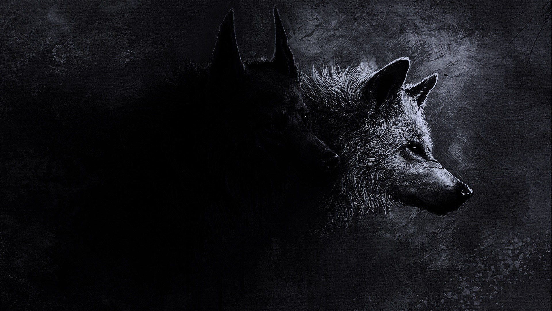 Cool Black WolfWallpapers