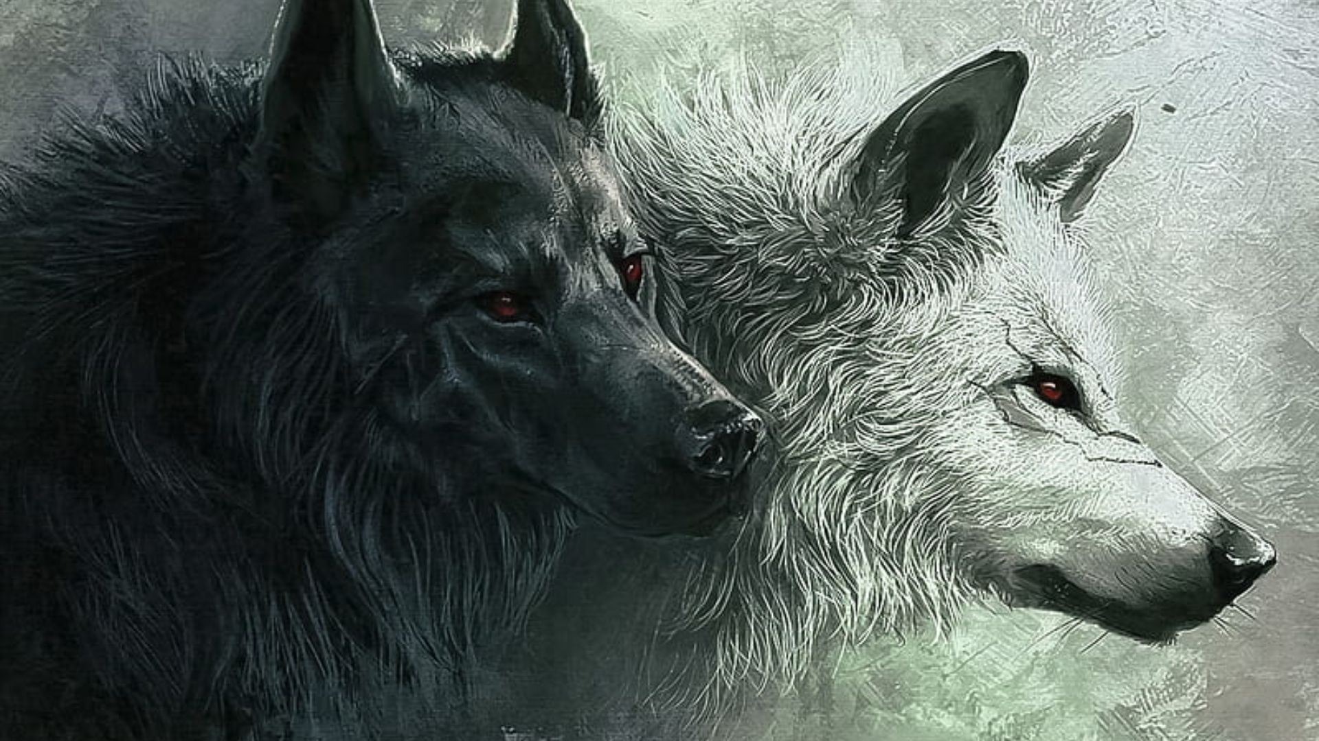 Cool Black WolfWallpapers