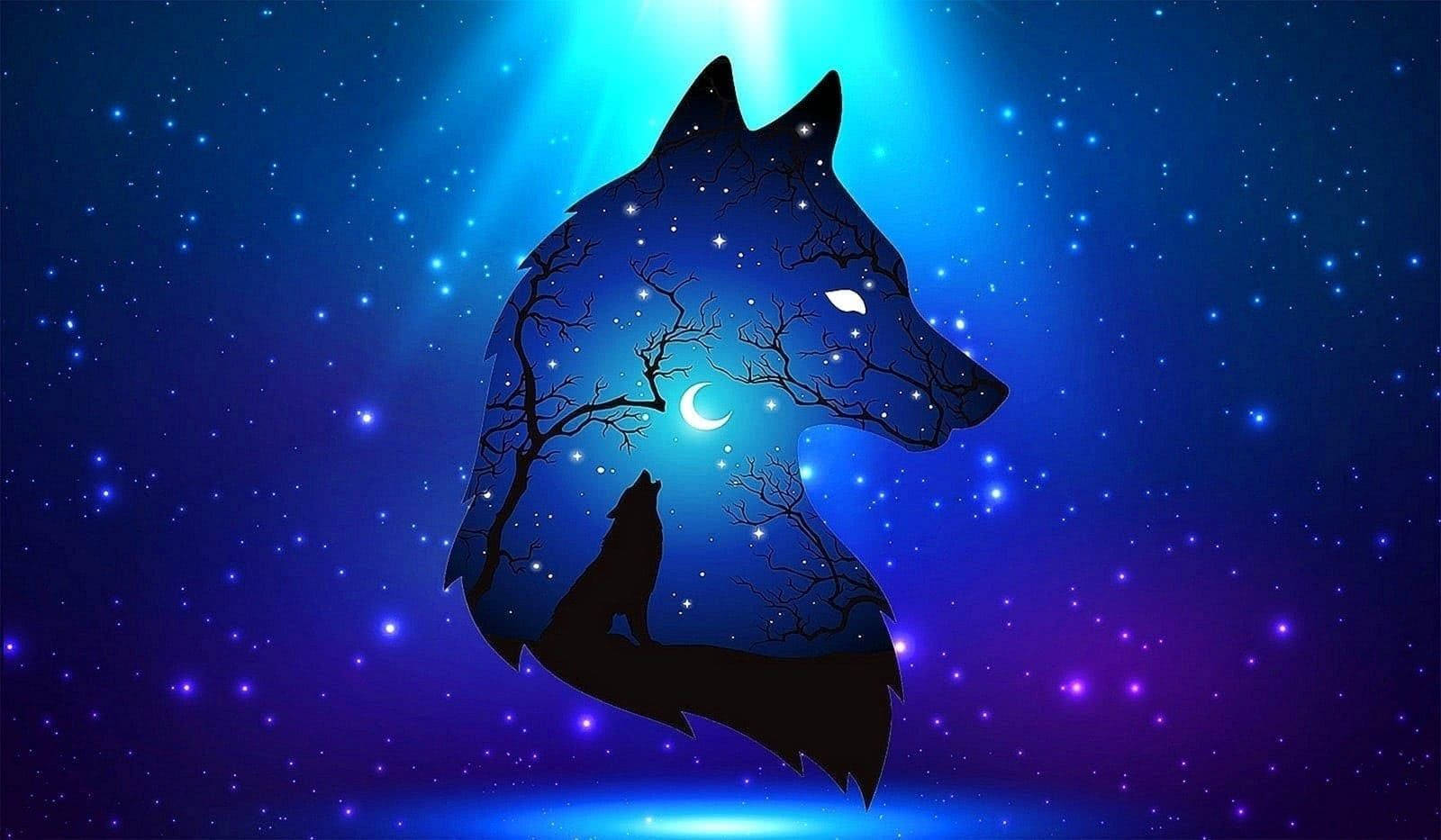 Cool Black WolfWallpapers