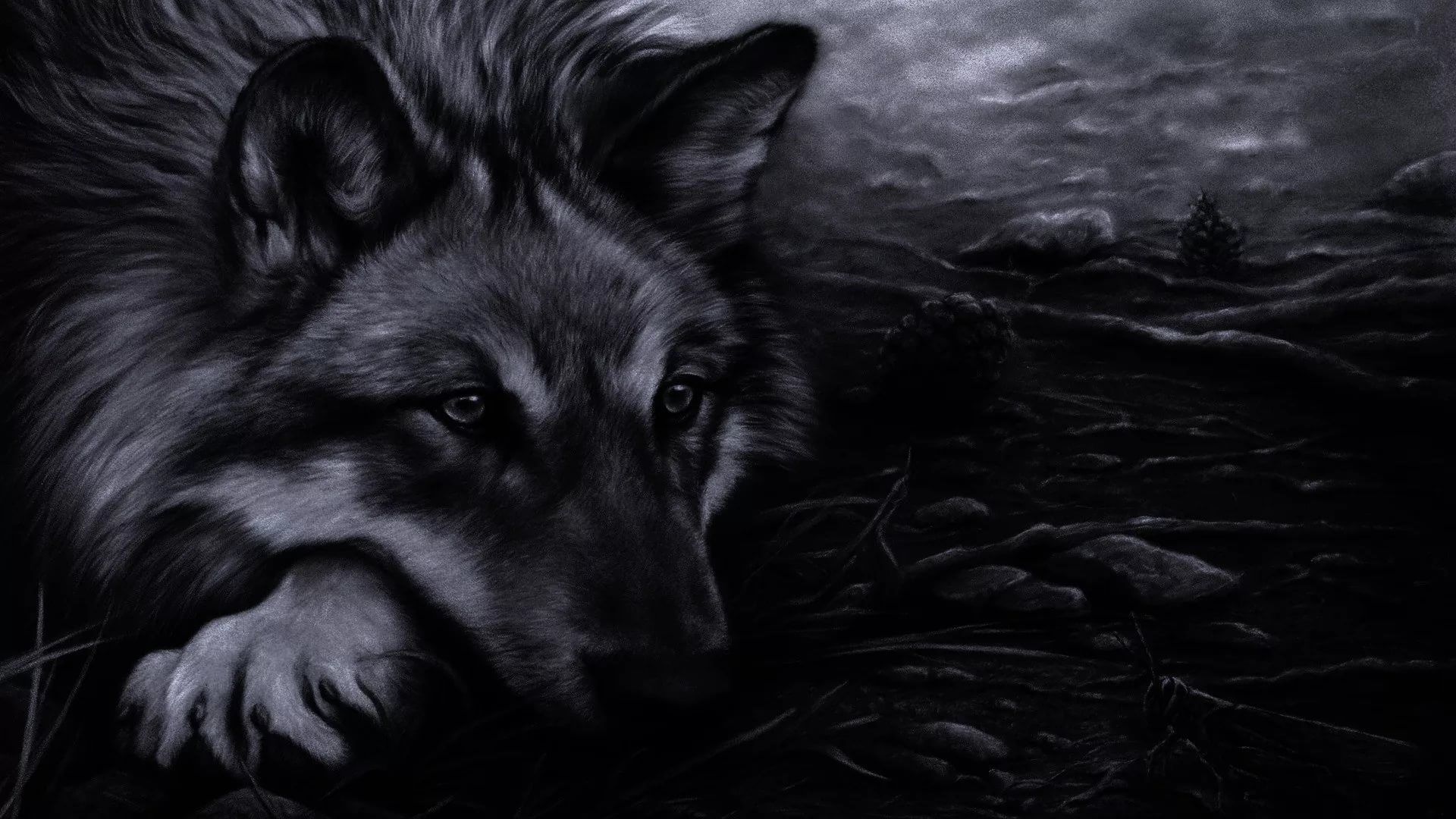 Cool Black WolfWallpapers