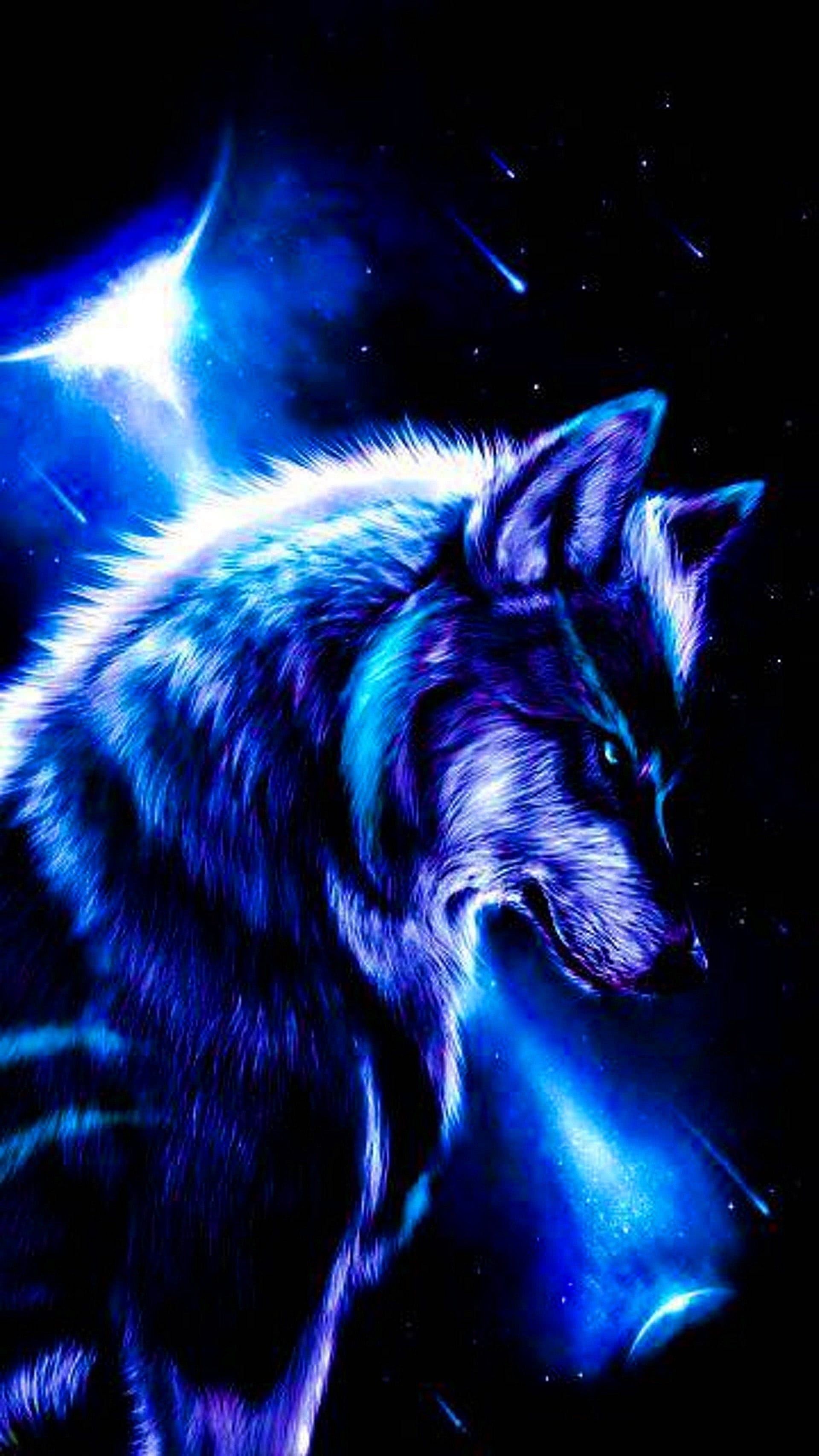 Cool Black WolfWallpapers