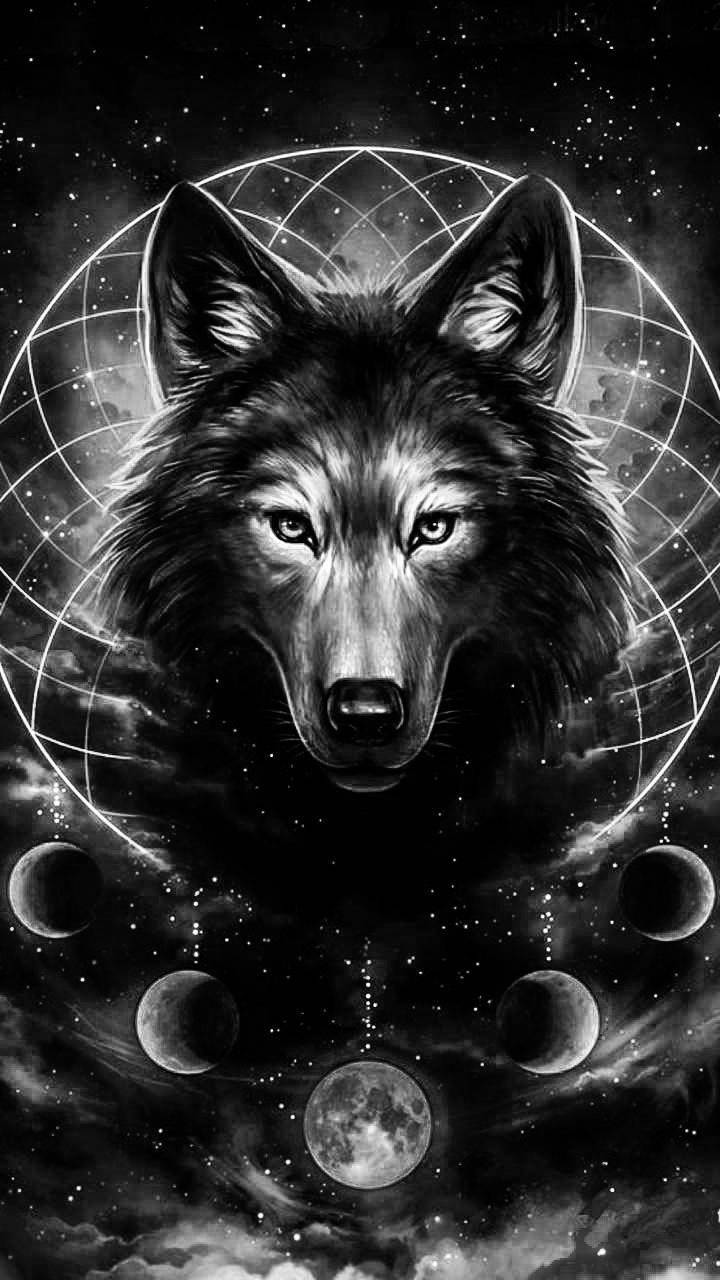 Cool Black WolfWallpapers