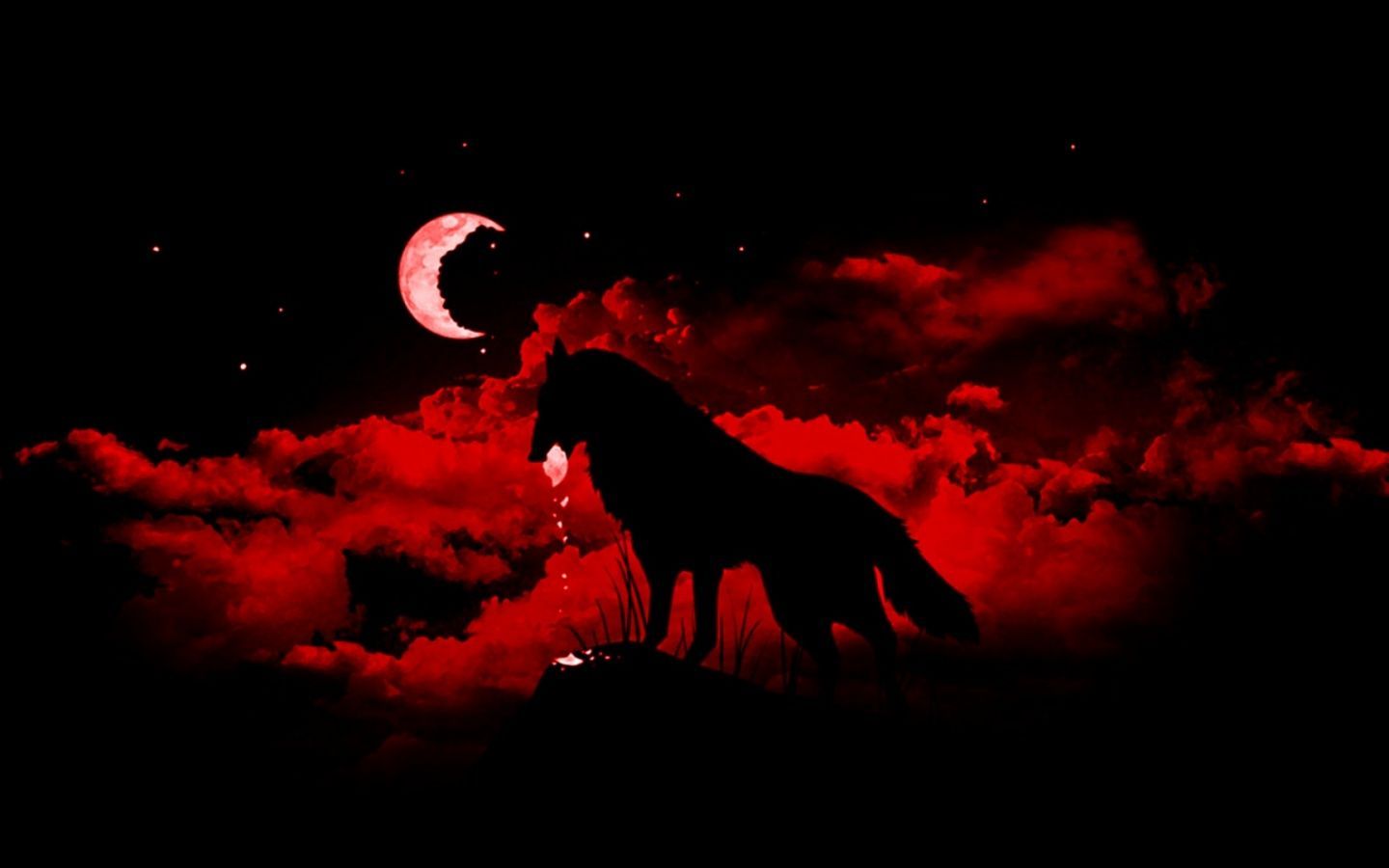 Cool Black WolfWallpapers