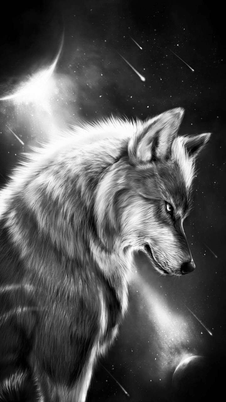 Cool Black WolfWallpapers