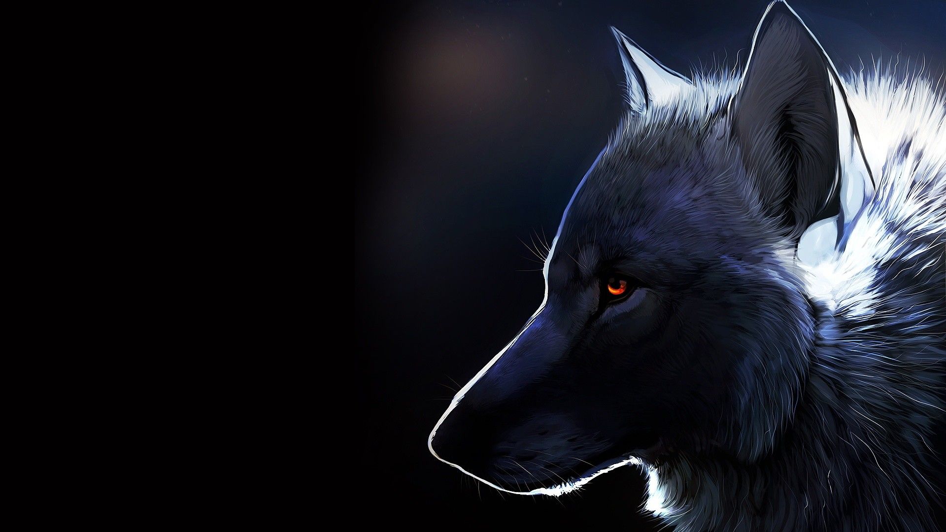 Cool Black WolfWallpapers