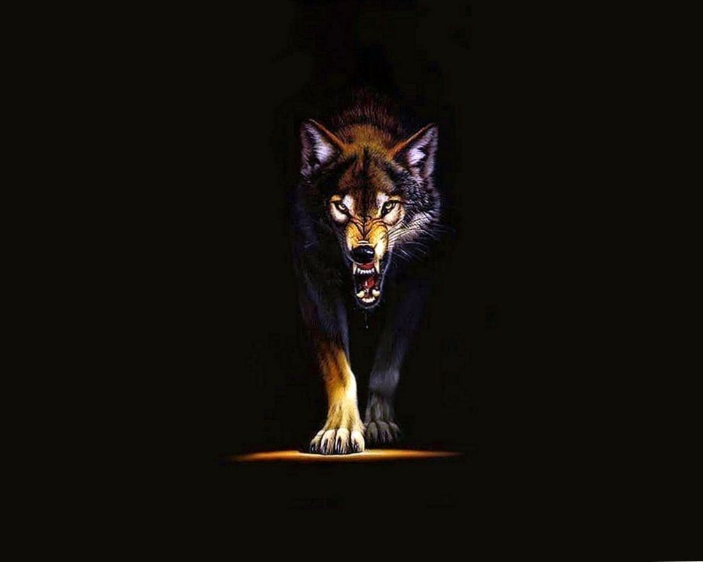 Cool Black WolfWallpapers