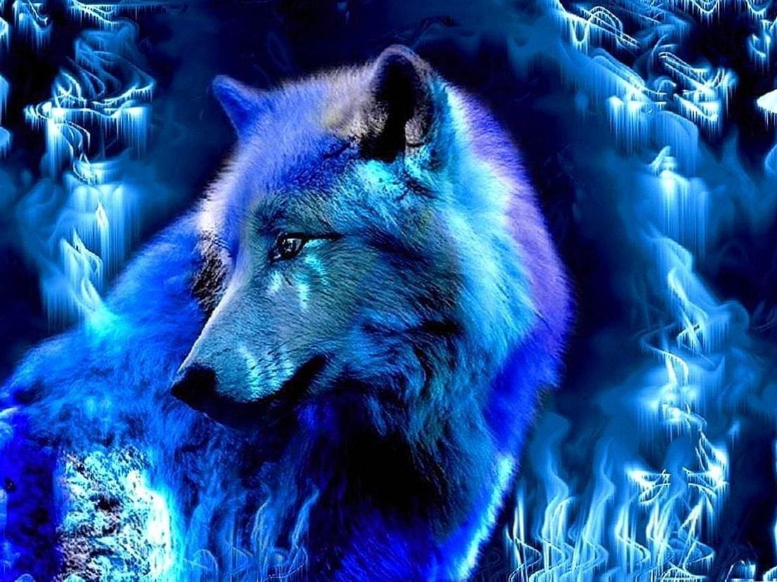 Cool Blue Wolf Wallpapers