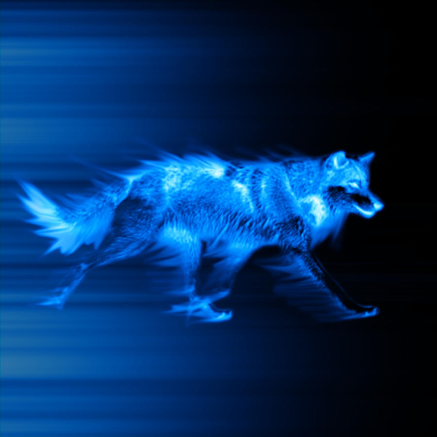 Cool Blue Wolf Wallpapers