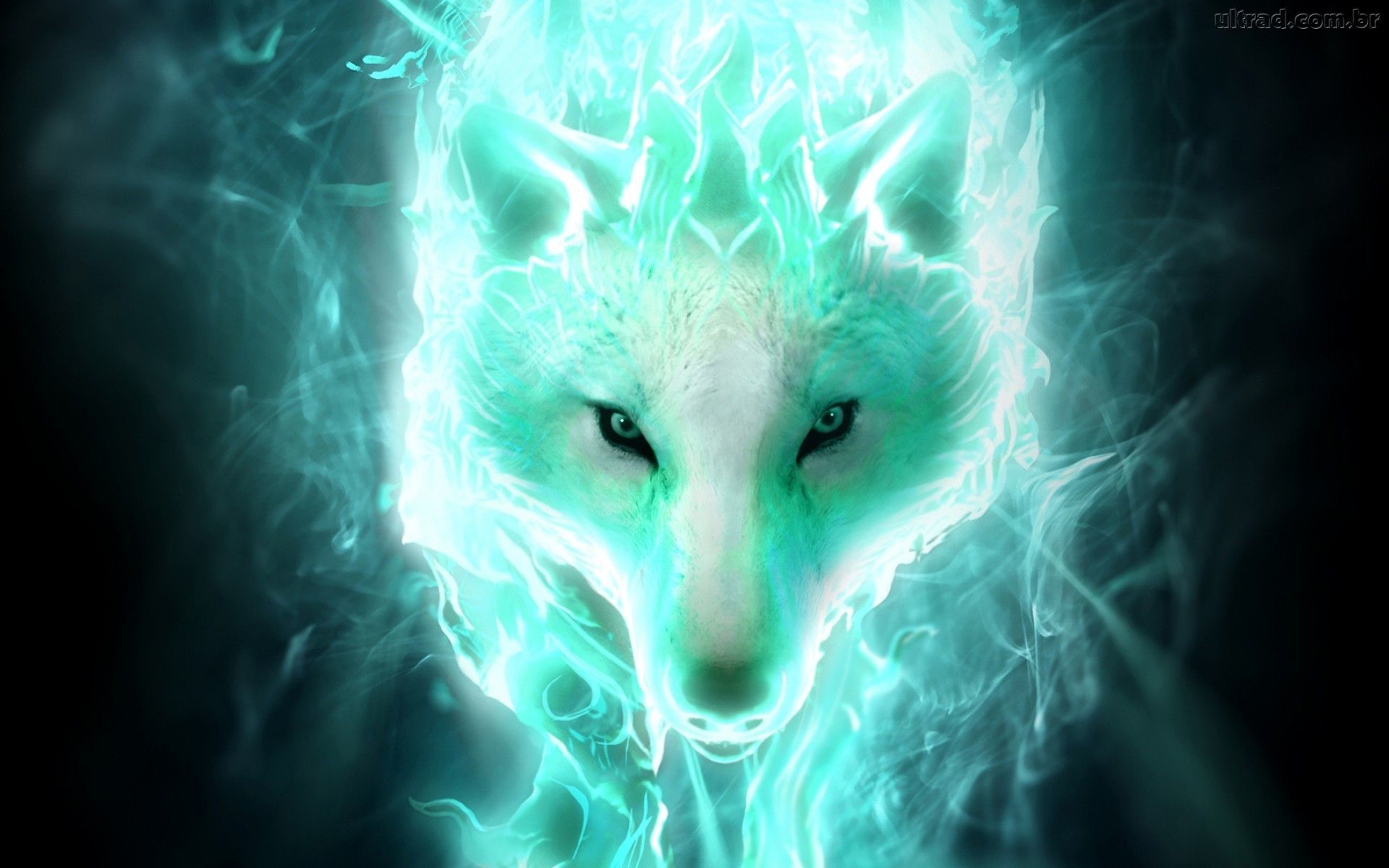 Cool Blue Wolf Wallpapers