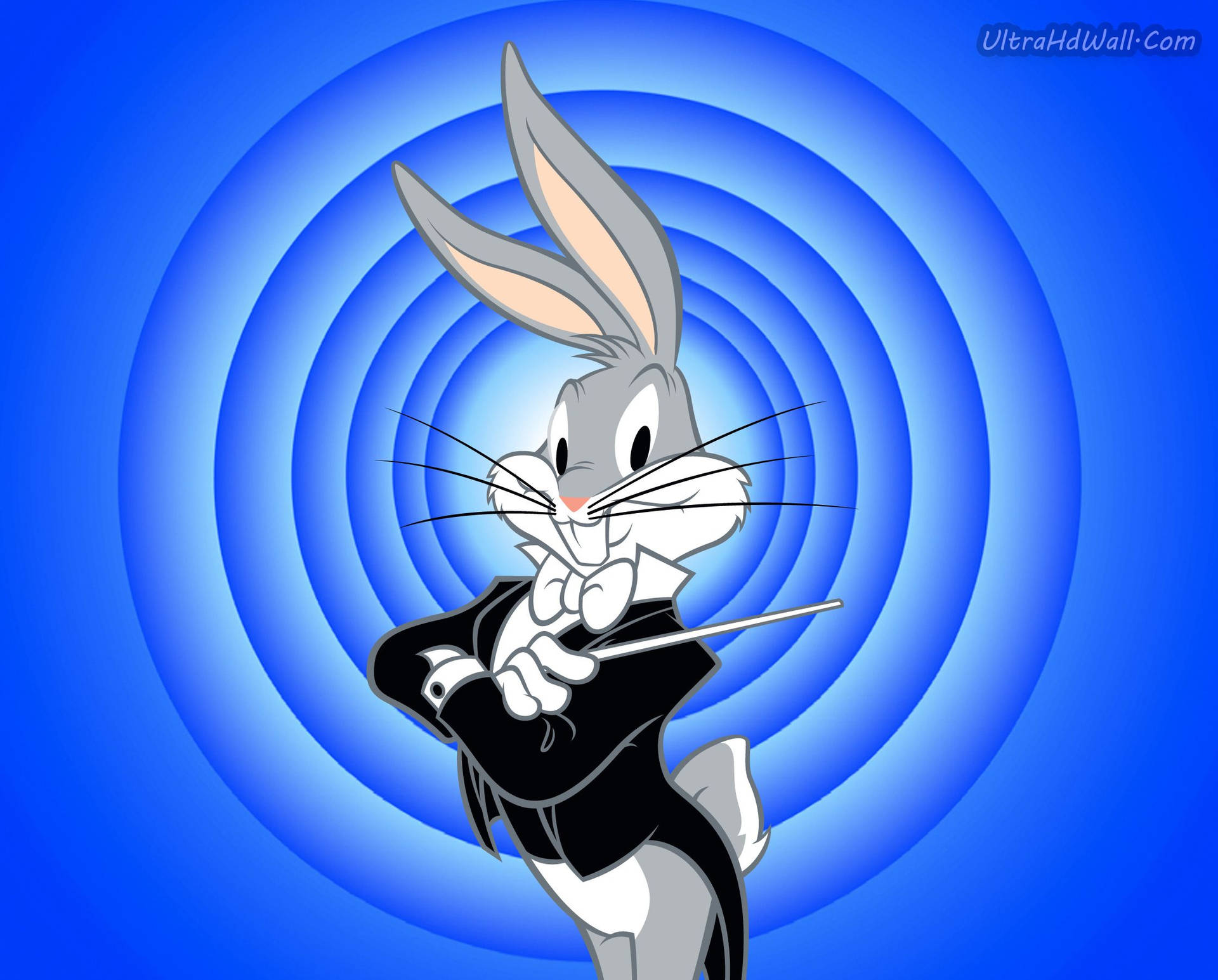 Cool Bugs BunnyWallpapers