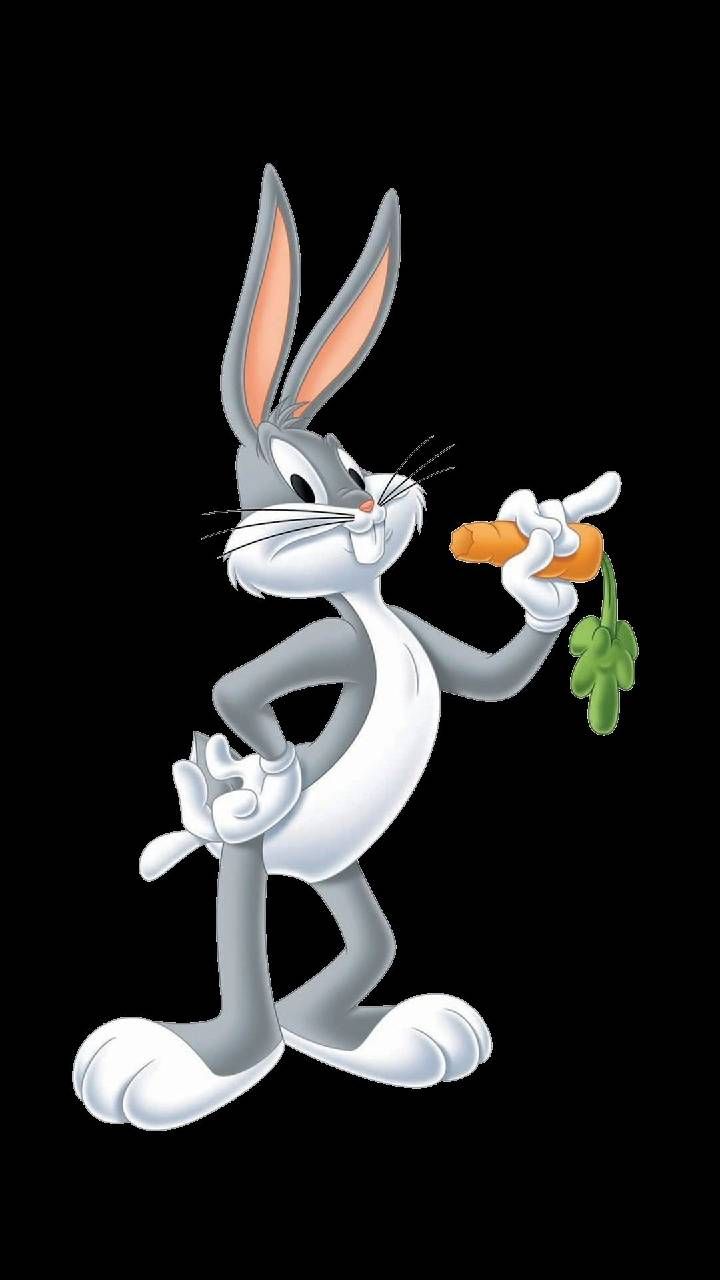 Cool Bugs BunnyWallpapers