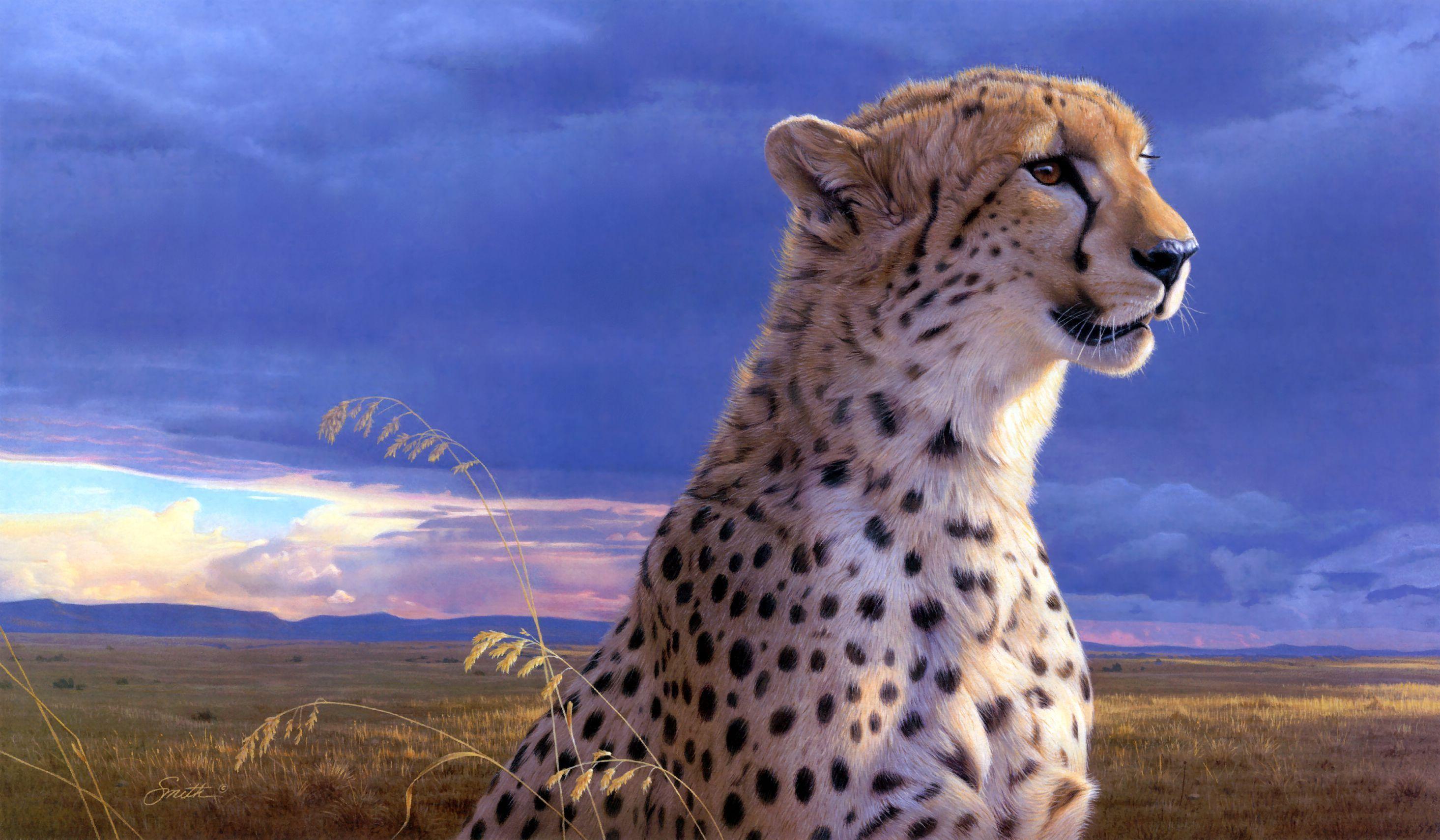 Cool Cheetah Wallpapers