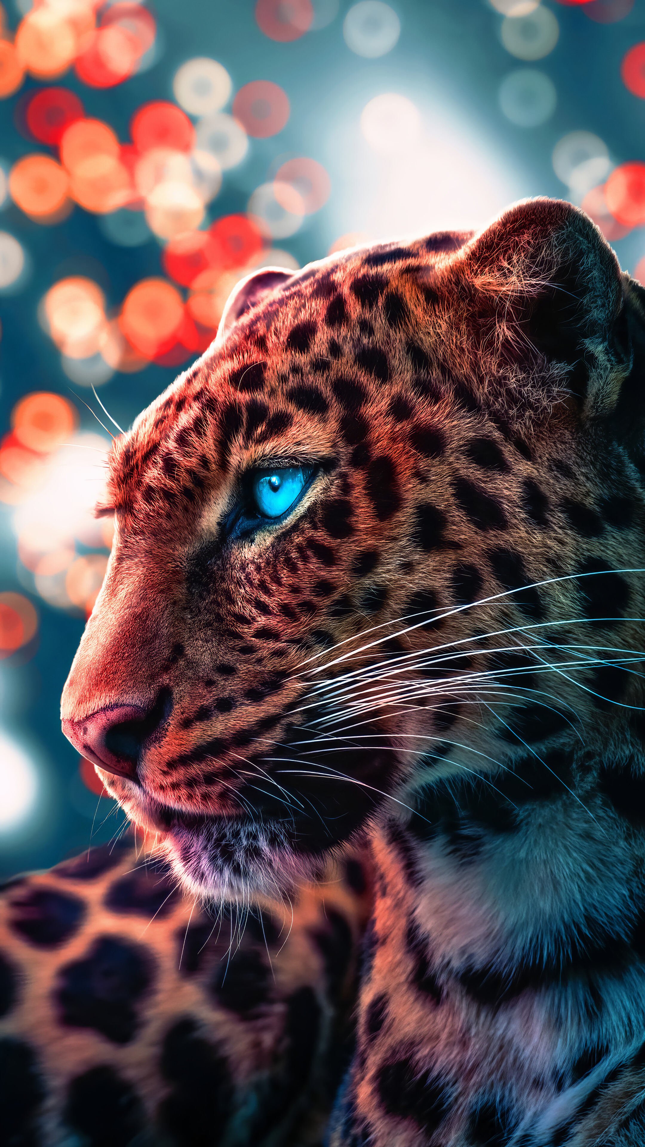 Cool Cheetah Wallpapers