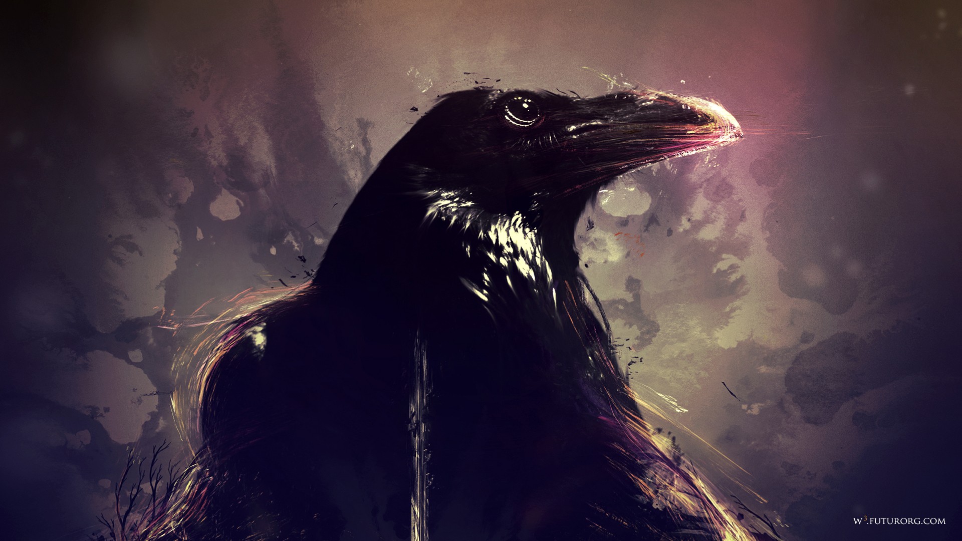 Cool Crow Wallpapers