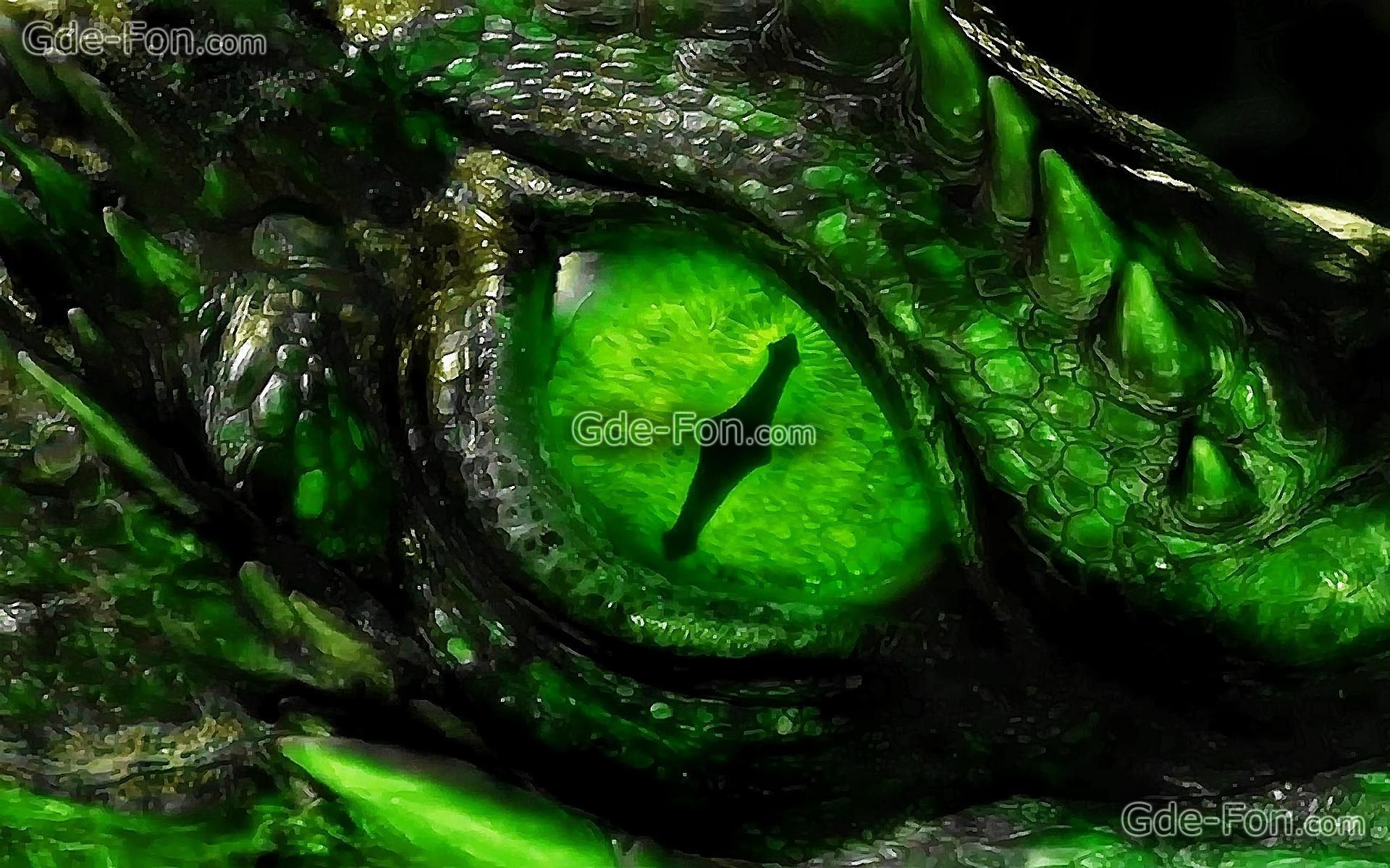 Cool Dragon Eye Wallpapers