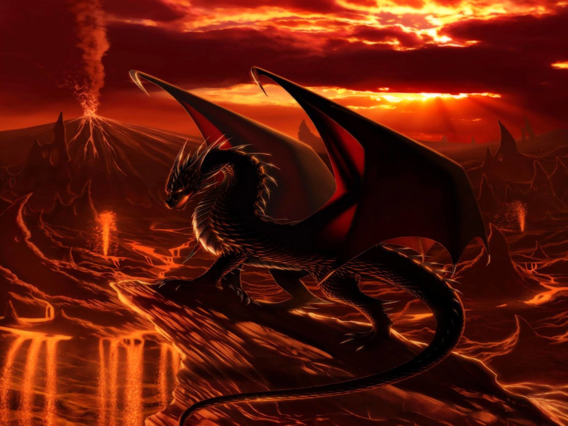 Cool Dragon Wallpaper Hd Phone Wallpapers