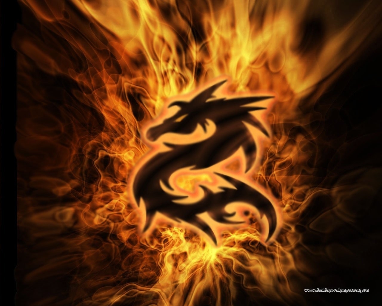 Cool Dragon Wallpaper Hd Phone Wallpapers