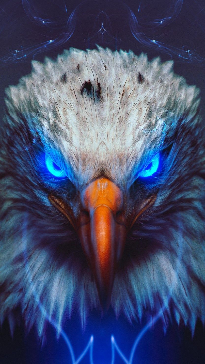 Cool Eagle Wallpapers