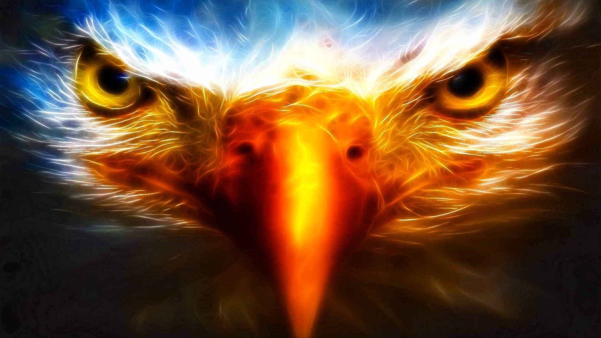 Cool Eagle Wallpapers