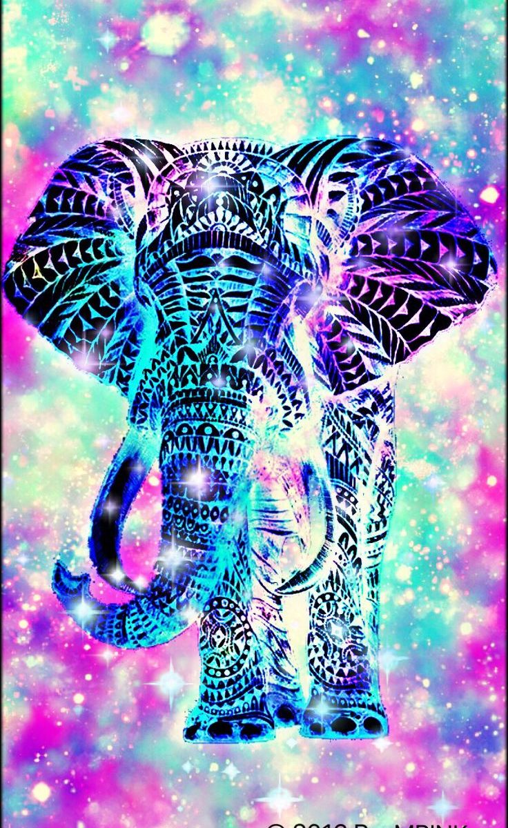 Cool Elephant Wallpapers