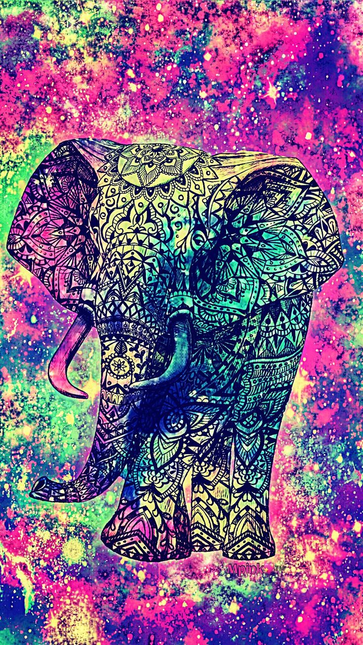 Cool Elephant Wallpapers