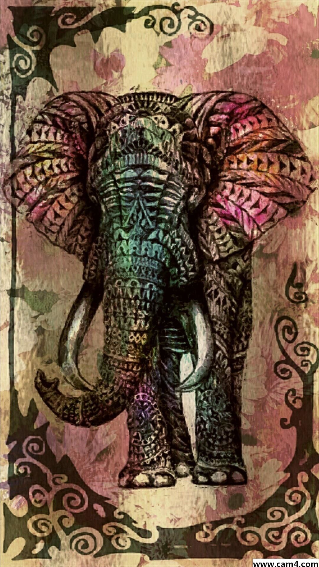 Cool Elephant Wallpapers