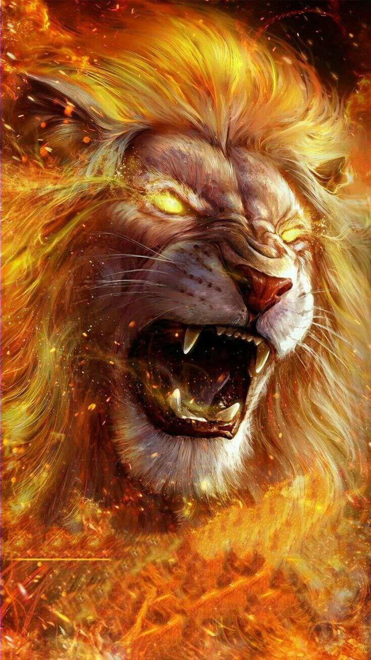 Cool Fire Lion Wallpapers