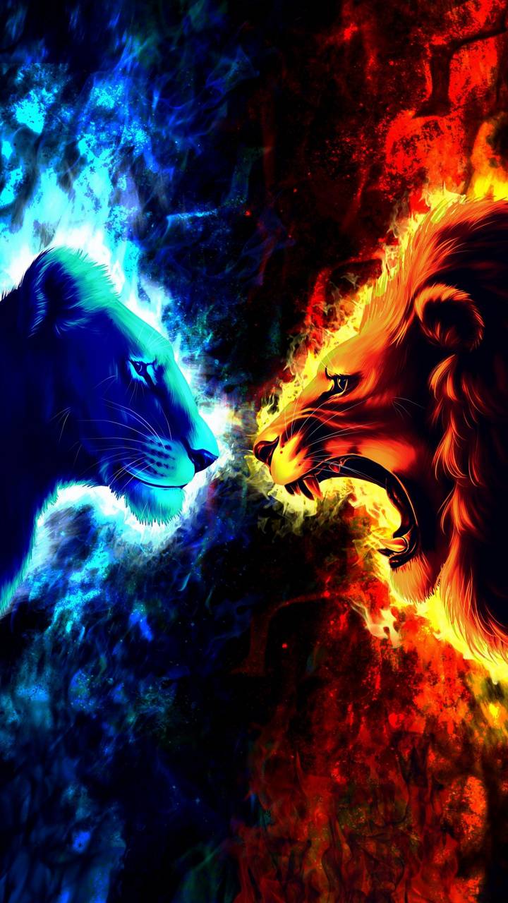 Cool Fire Lion Wallpapers