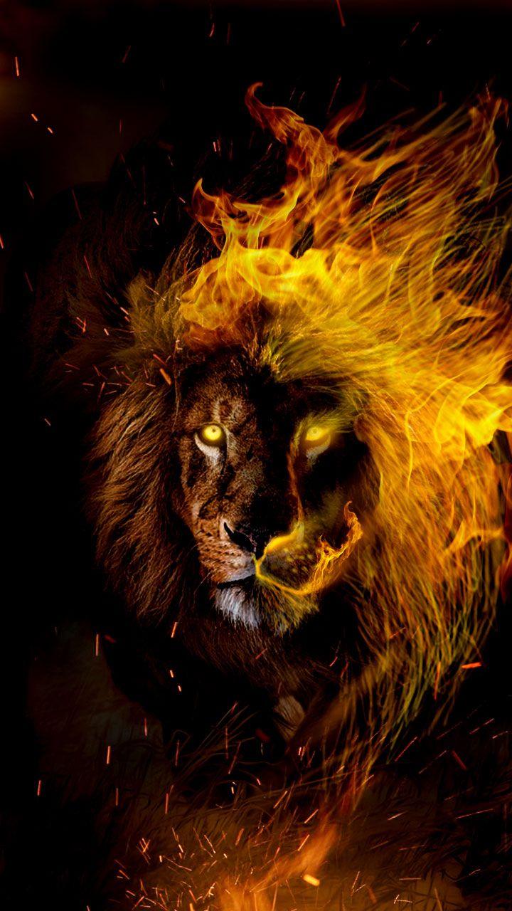 Cool Fire Lion Wallpapers