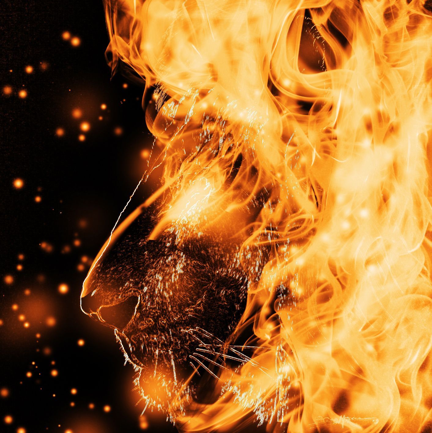 Cool Fire Lion Wallpapers