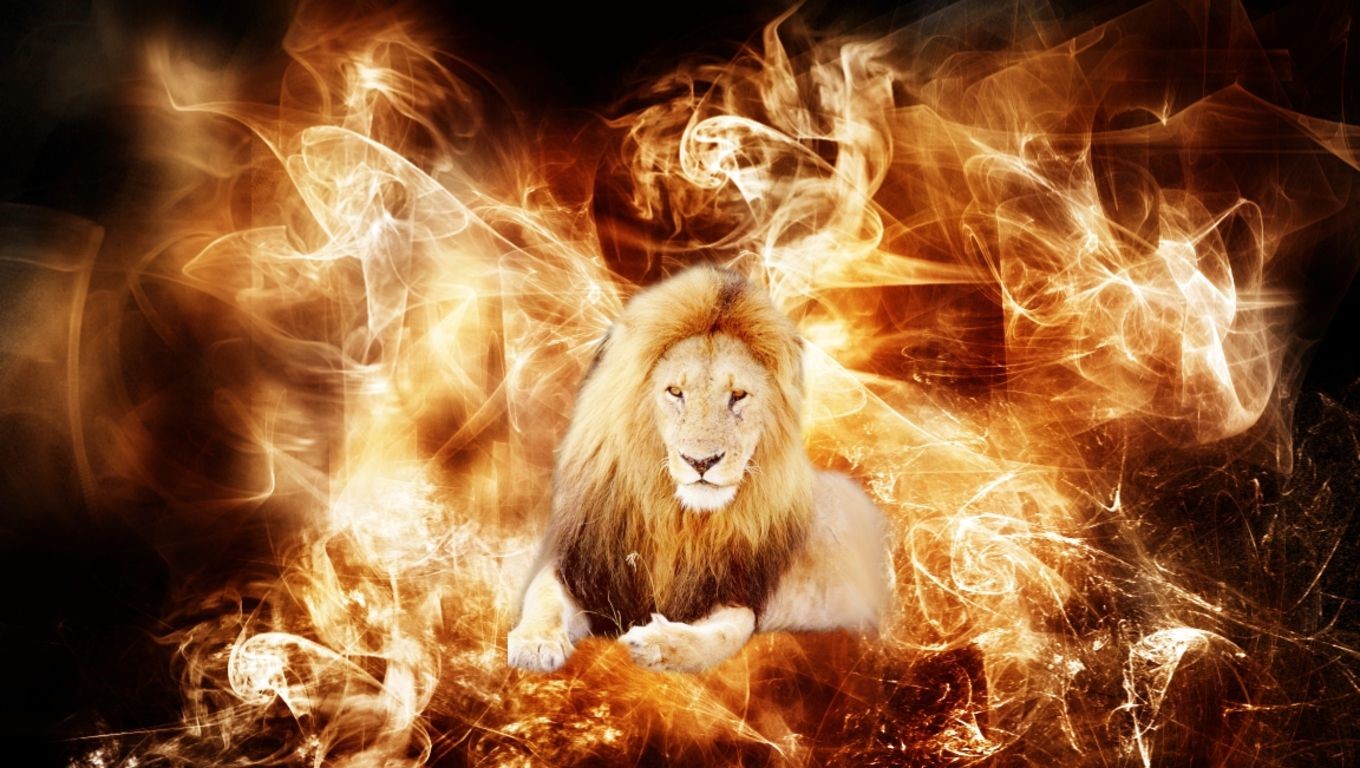 Cool Fire Lion Wallpapers