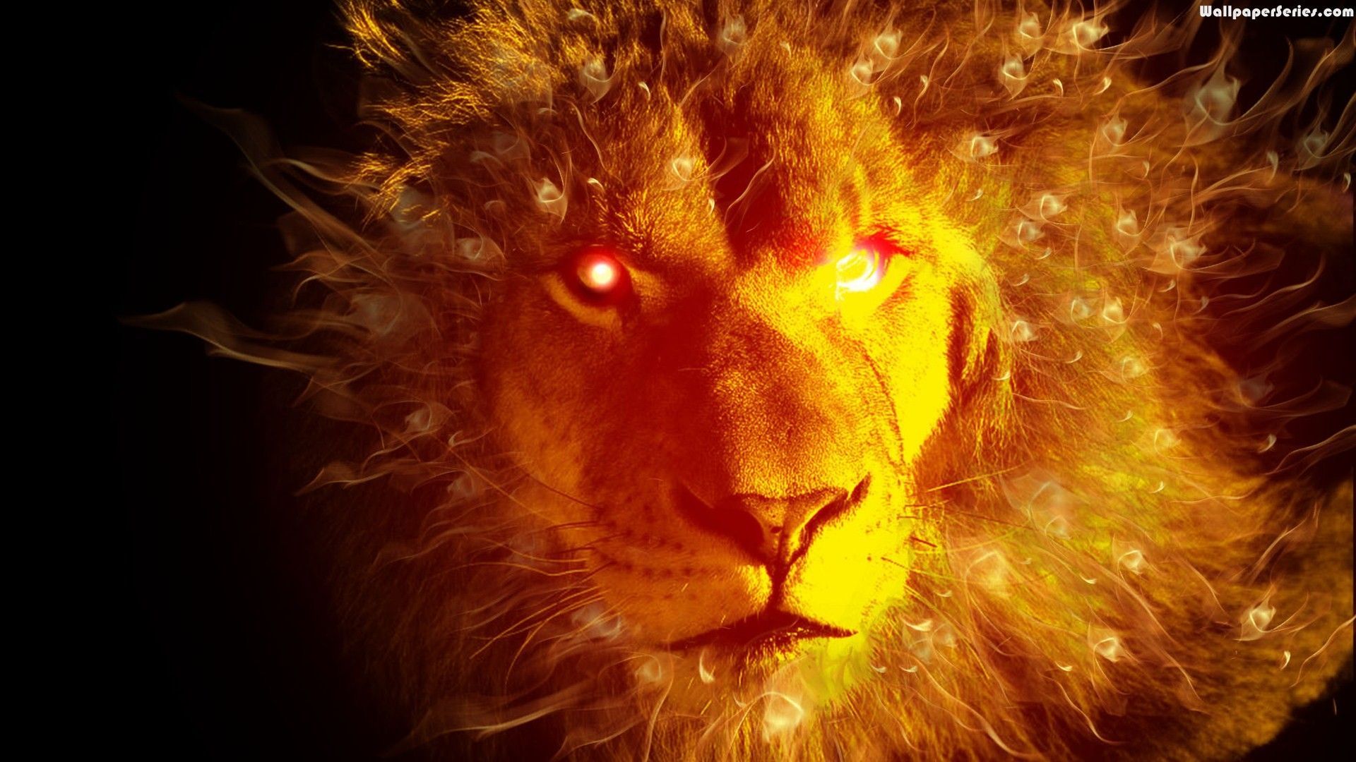 Cool Fire Lion Wallpapers